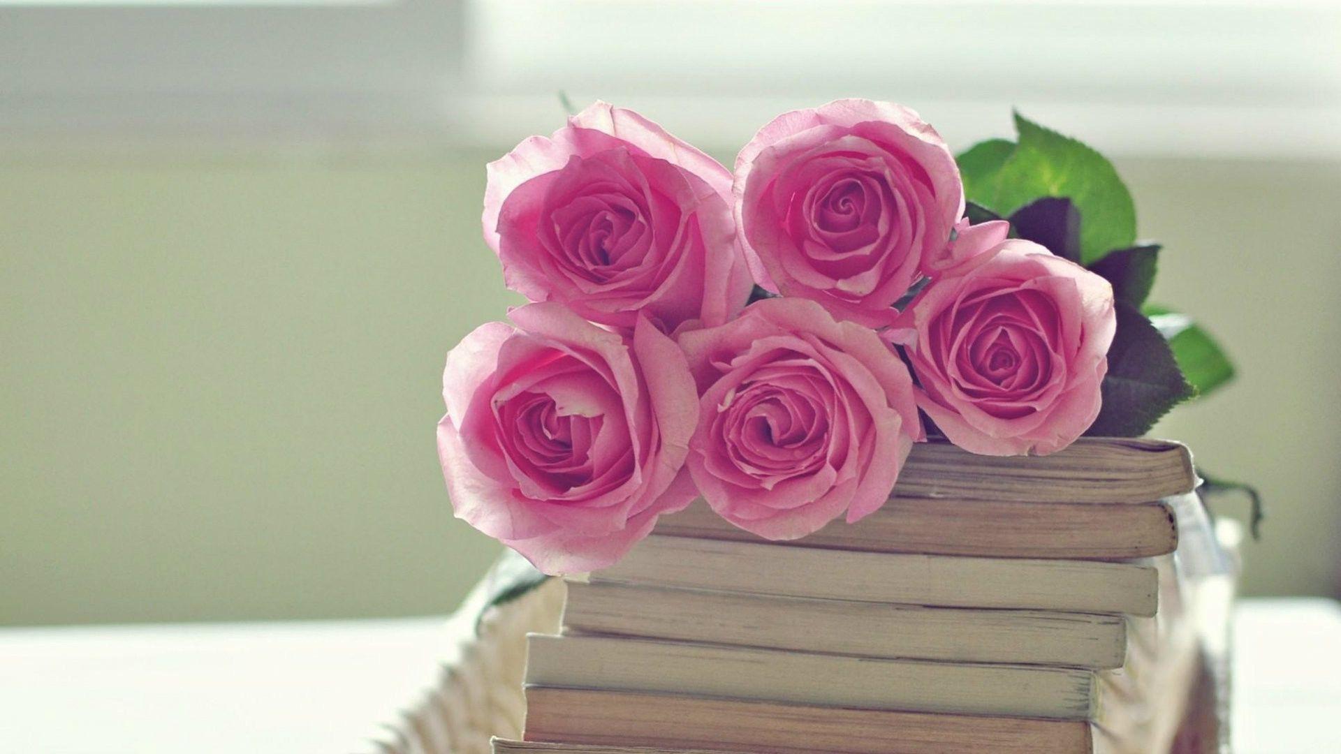 1920x1080 Pink Rose Wallpaper HD Frills Jewellery
