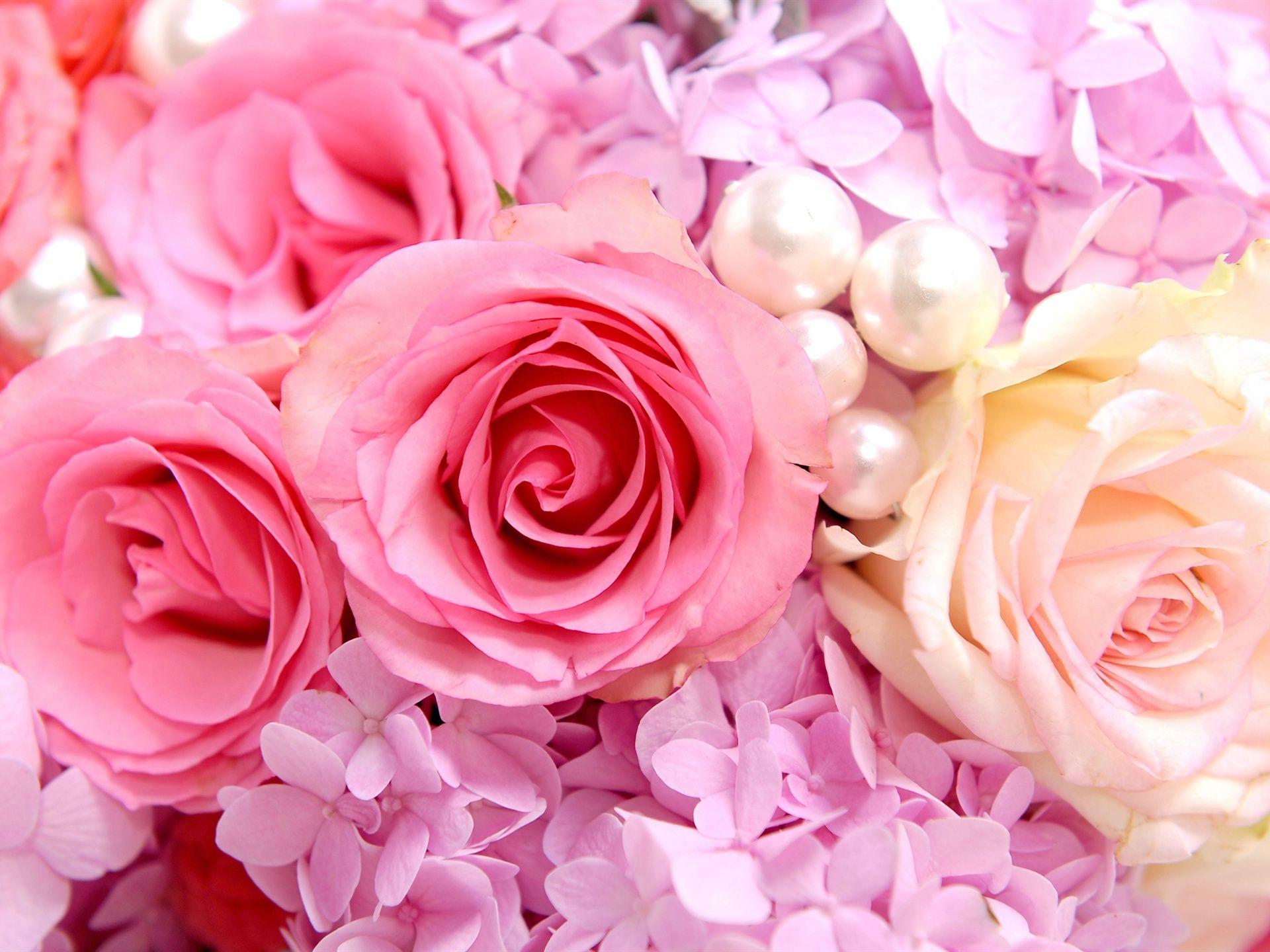 1920x1440 rose background tumblr pics. HD Wallpaper, HD Background