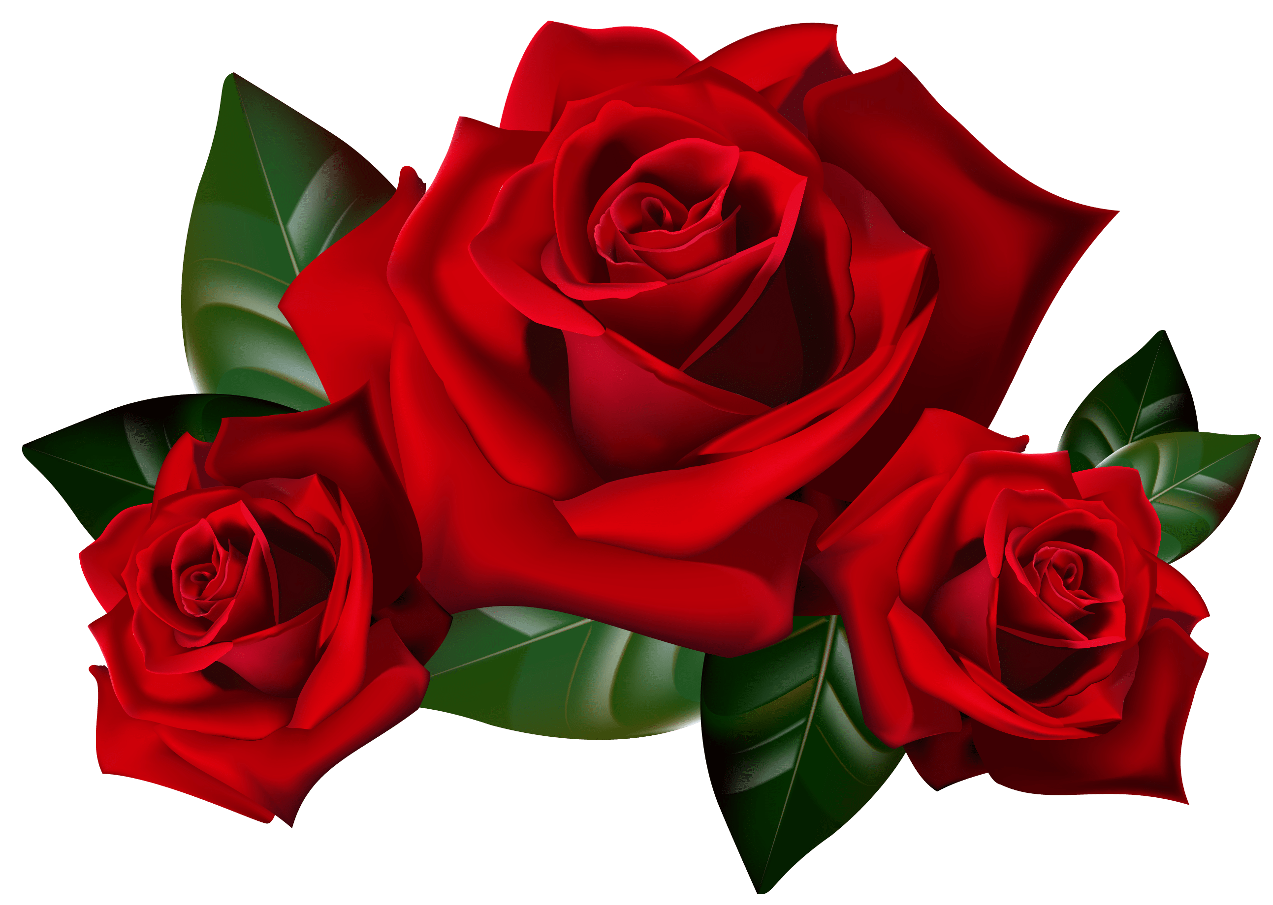 2586x1840 Free Rose Transparent Tumblr, Download Free Clip Art, Free Clip