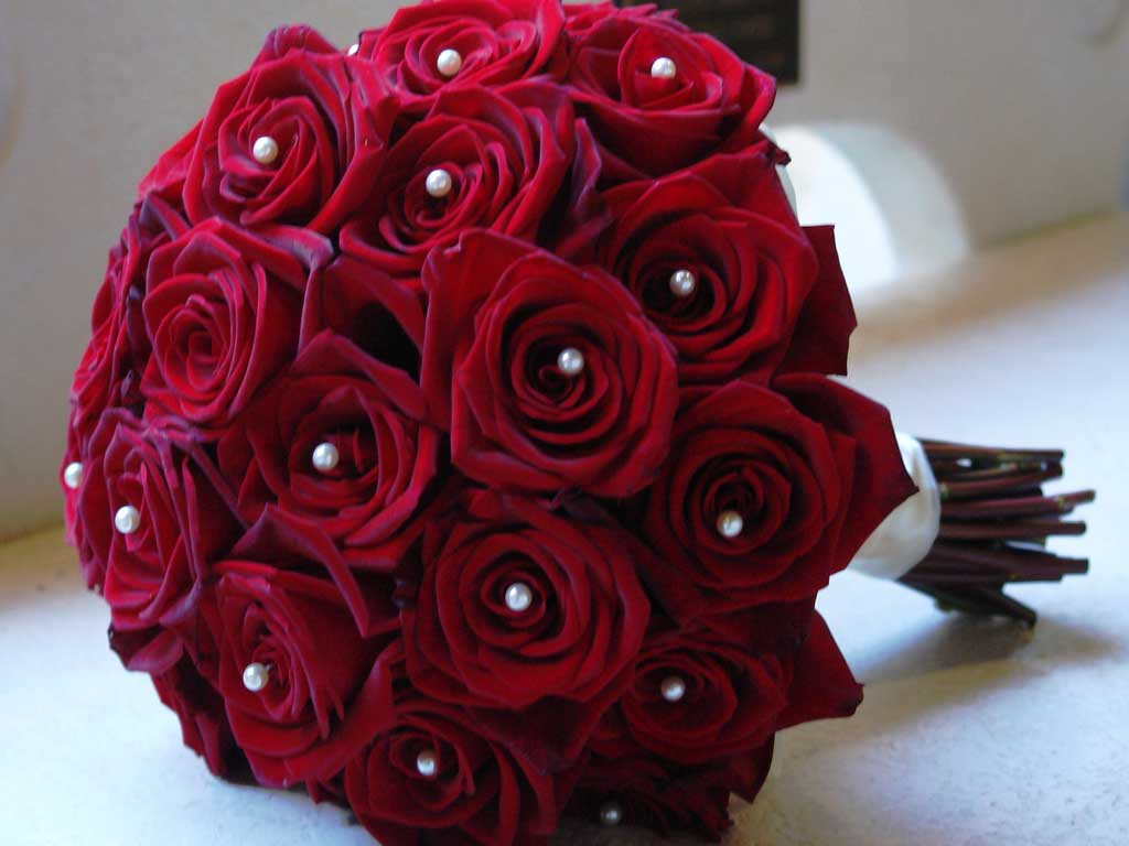 Tumblr Roses HD Wallpapers - Top Free Tumblr Roses HD Backgrounds ...