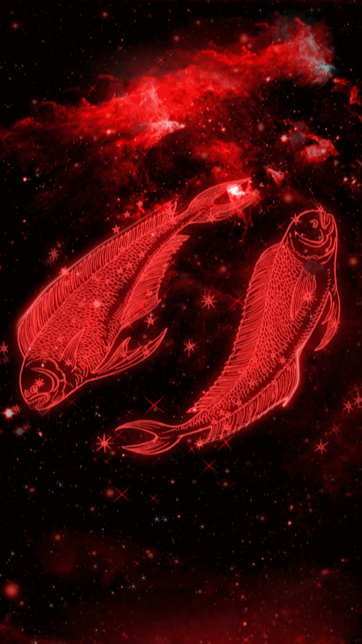 720x1282 