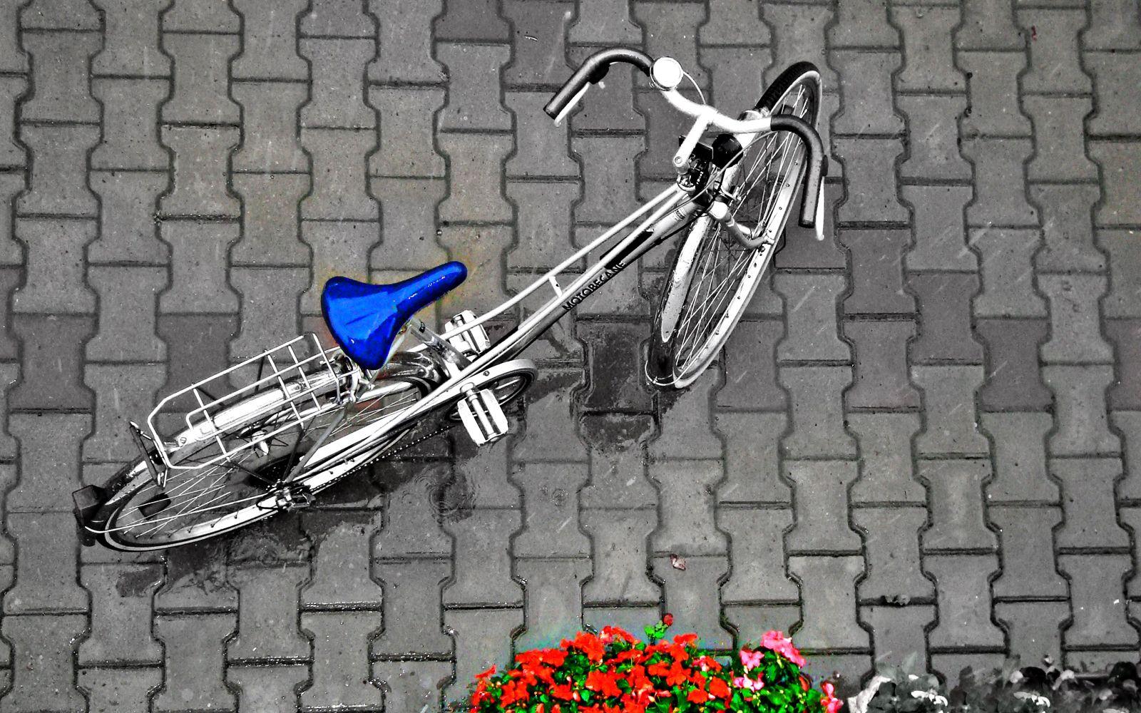 1600x1000 wallpaper free download hd: Vintage Bicycle Pbestography HD