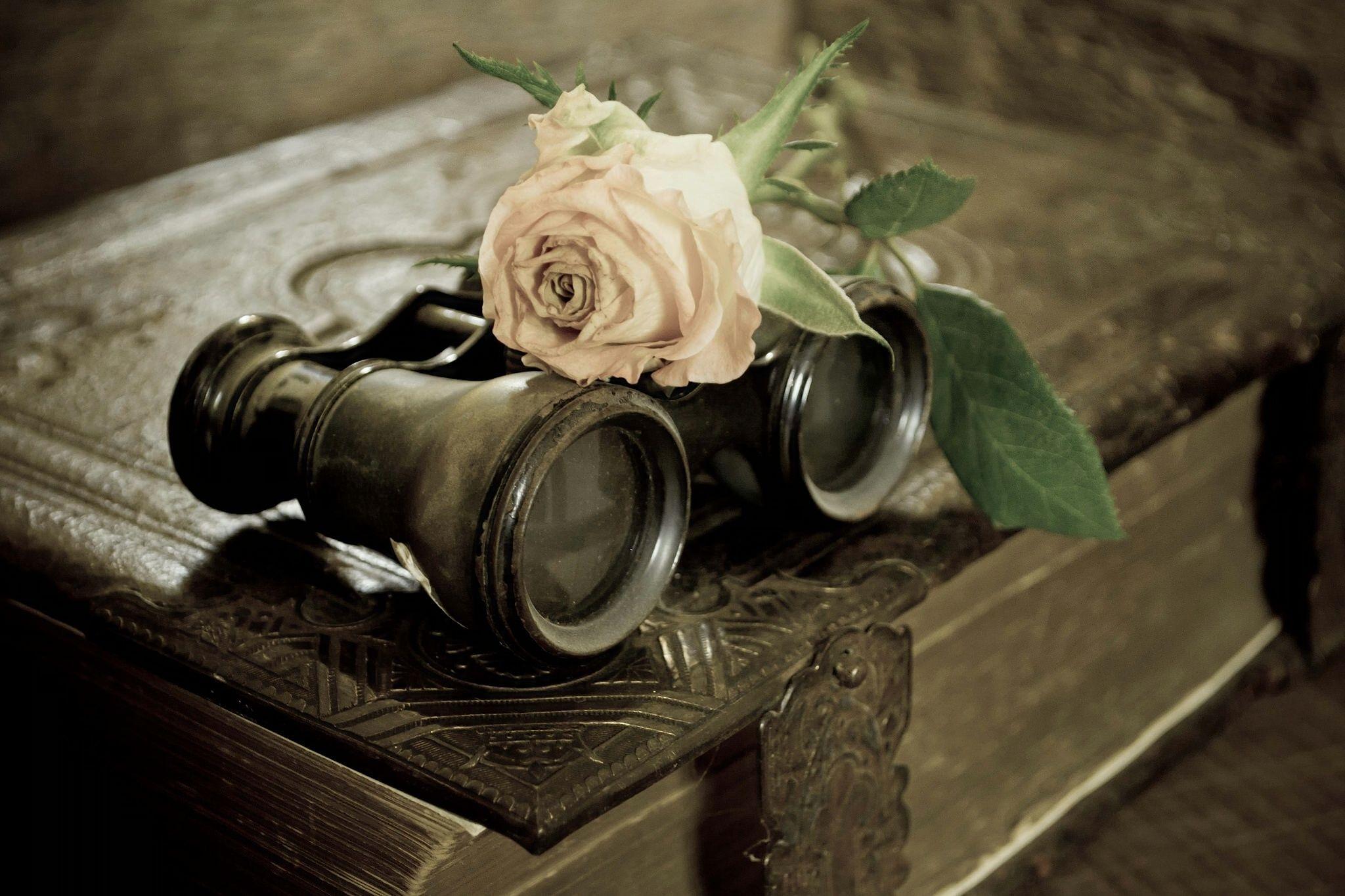 2048x1365 binoculars, blossom, Book, vintage, rose wallpaper