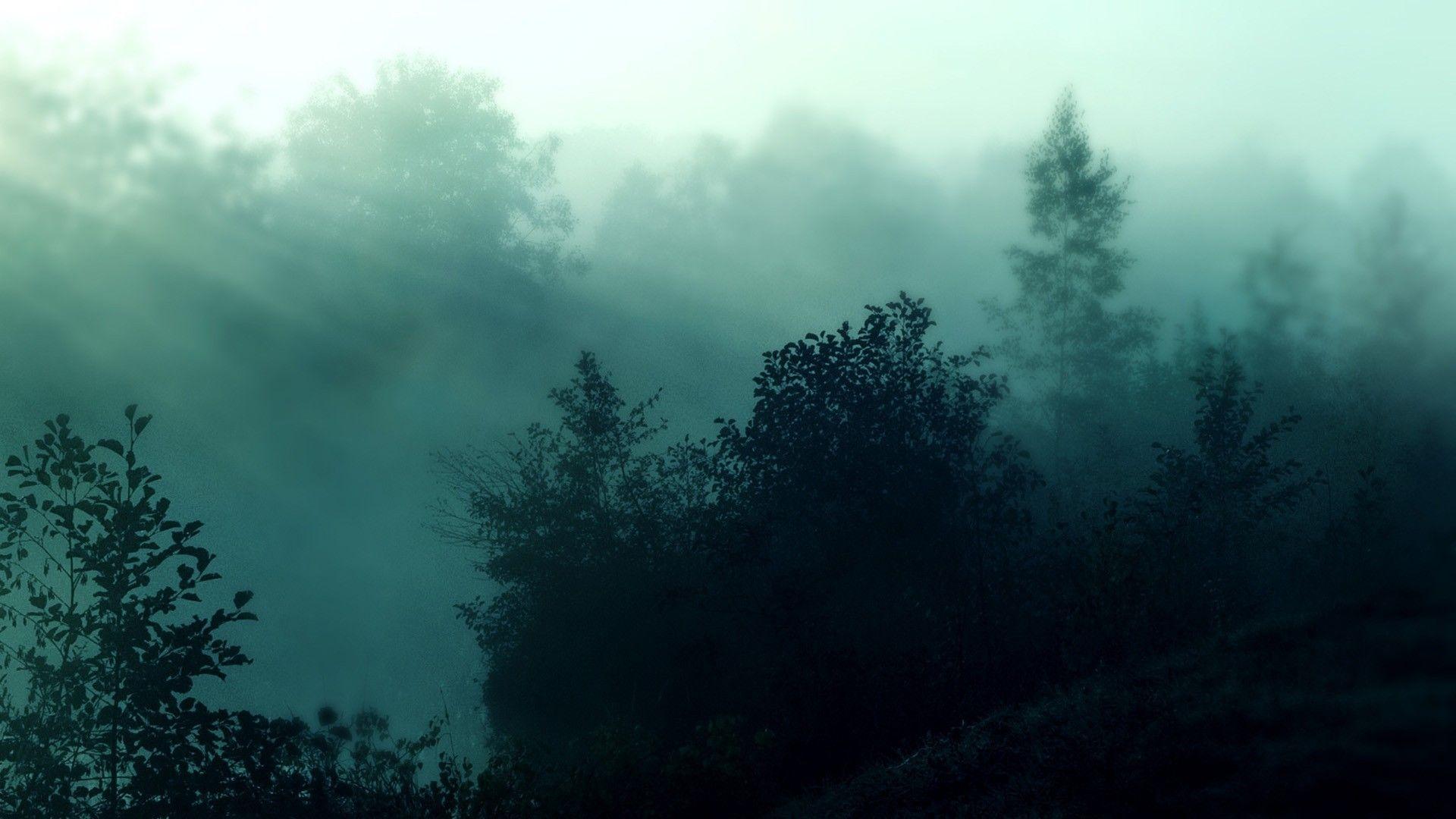 1920x1080 Foggy Forest Wallpaper