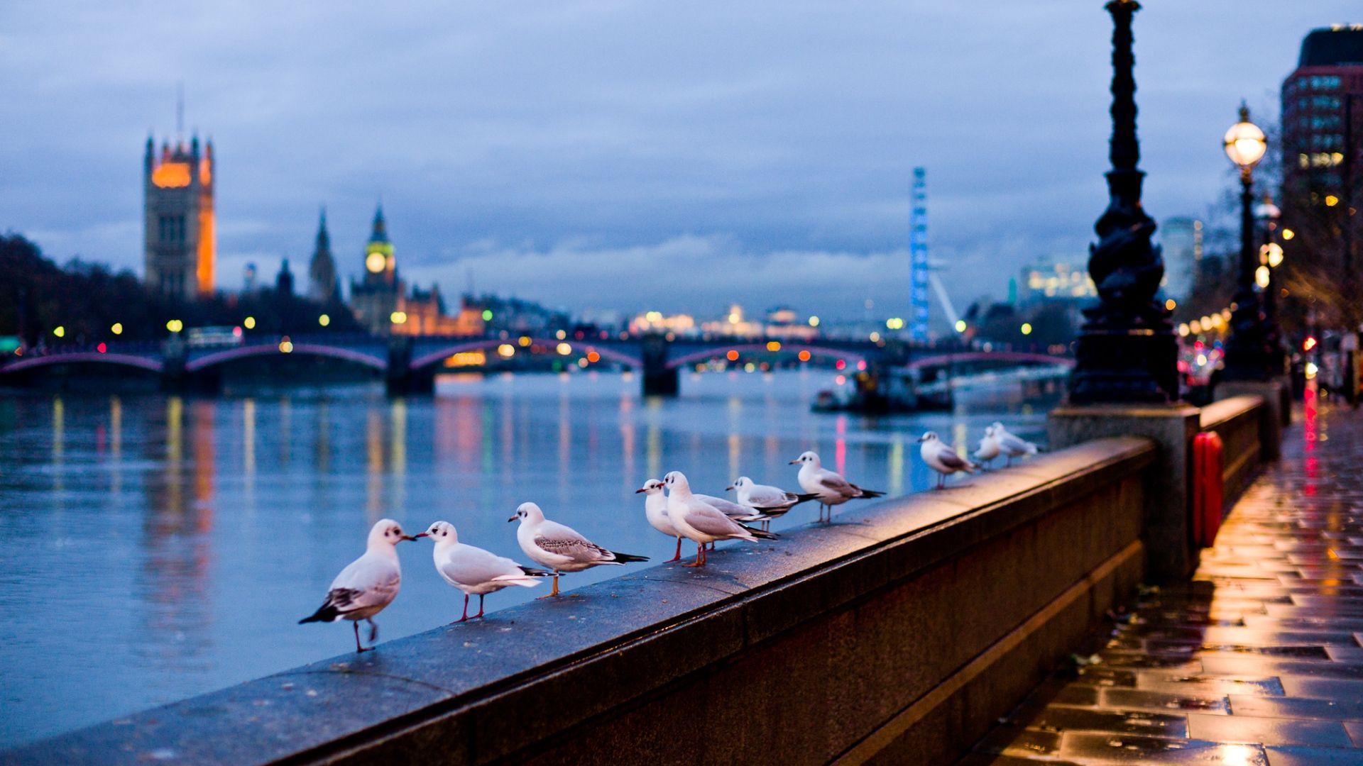 1920x1080 Download Wallpaper 1920x1080 city, london, england, street, river