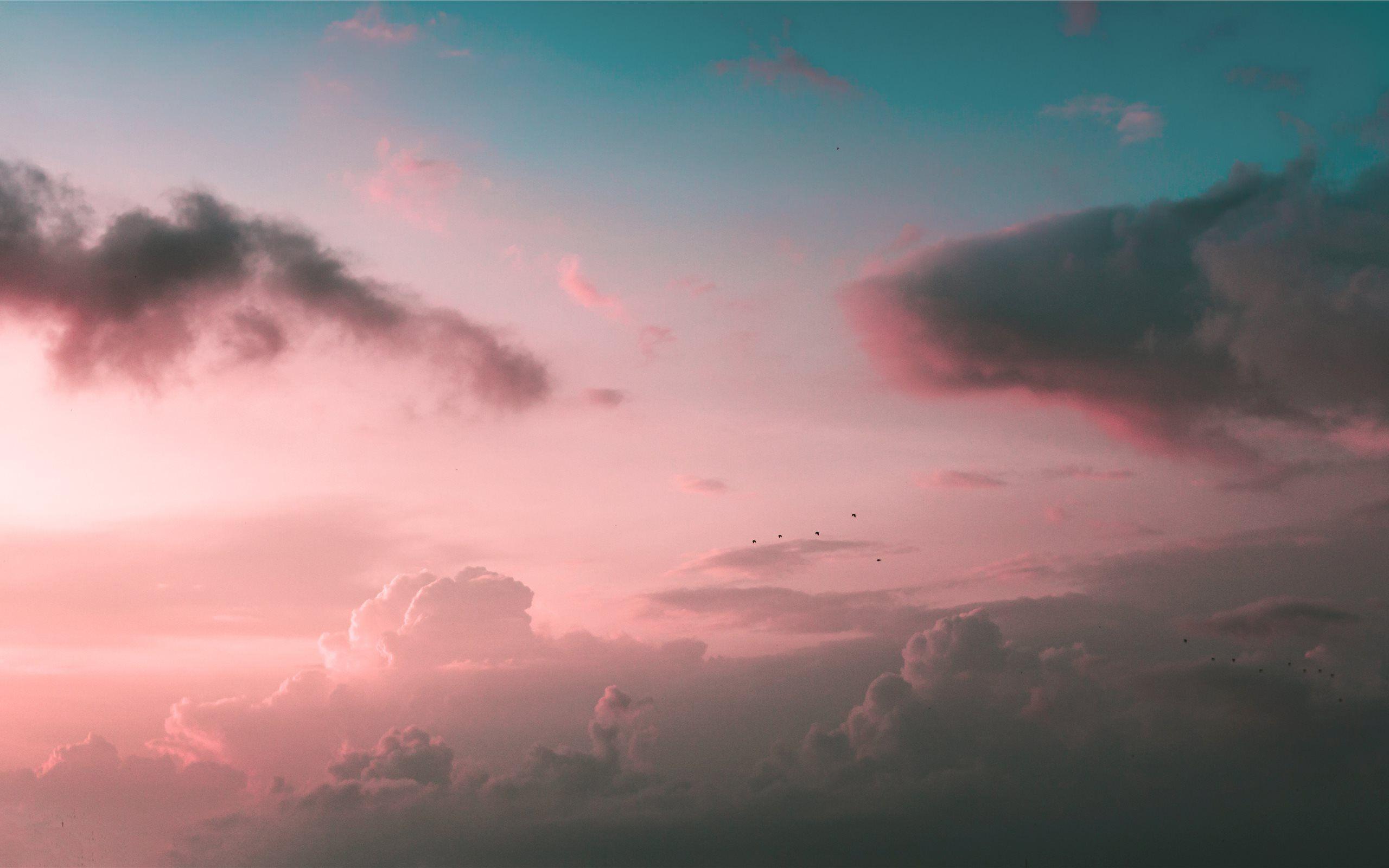 2560x1600 white and pink floral tex. MacBook Air Wallpaper Download