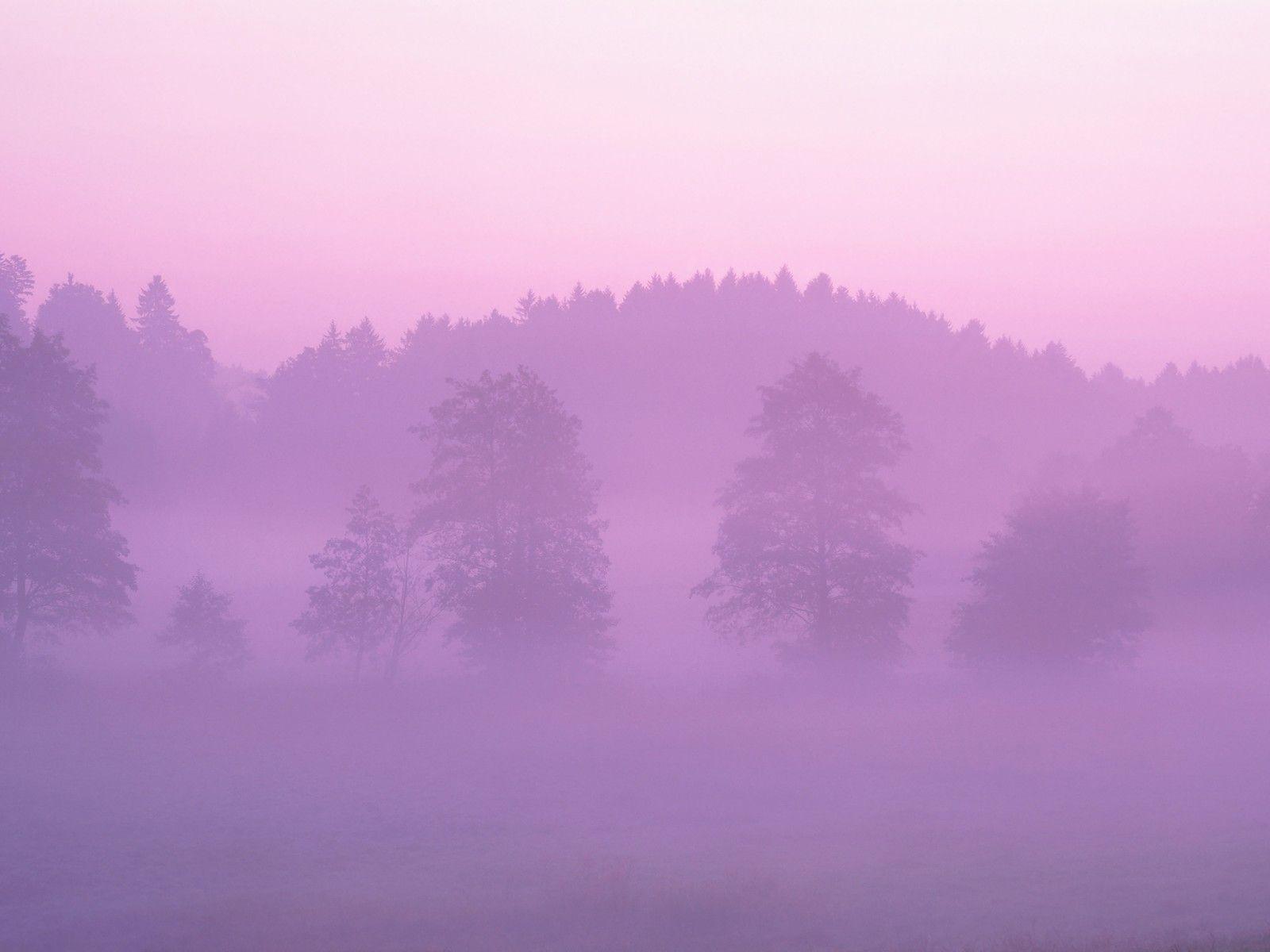 1600x1200 Mac OS X Pink Forest wallpaper. Mac OS X Pink Forest