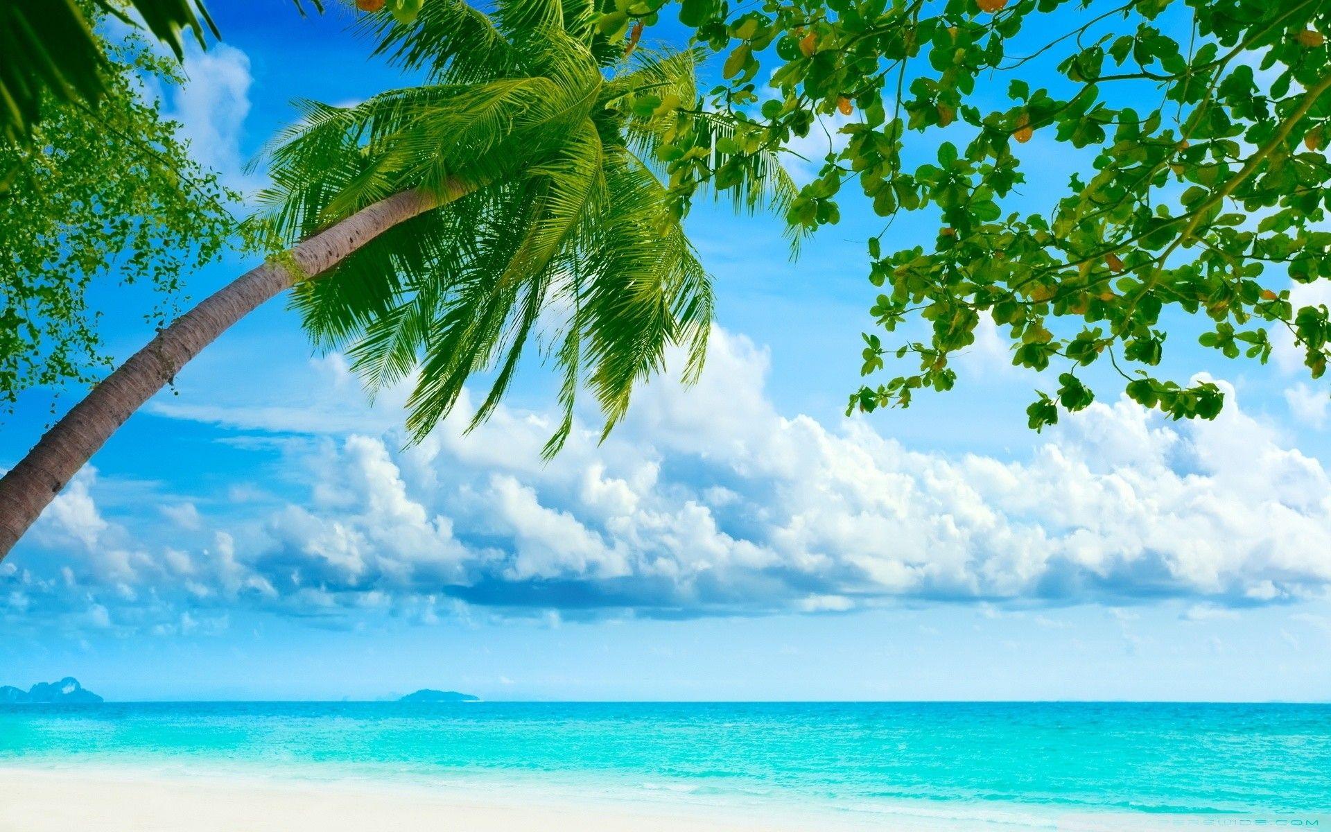 1920x1200 HD Wallpaper Beach