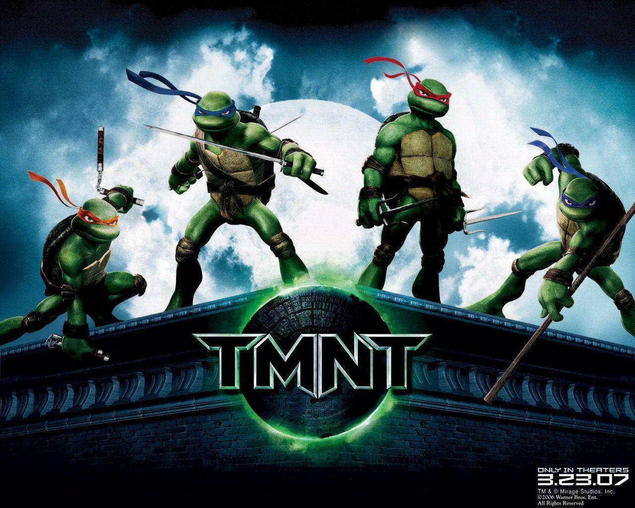 1280x1024 If The Teenage Mutant Ninja Turtles Can Work As A Team, Than
