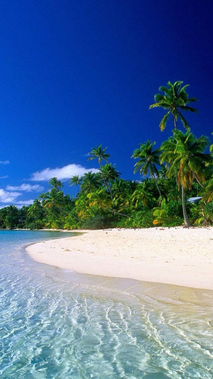 720x1280 Beach Live Wallpaper for Android