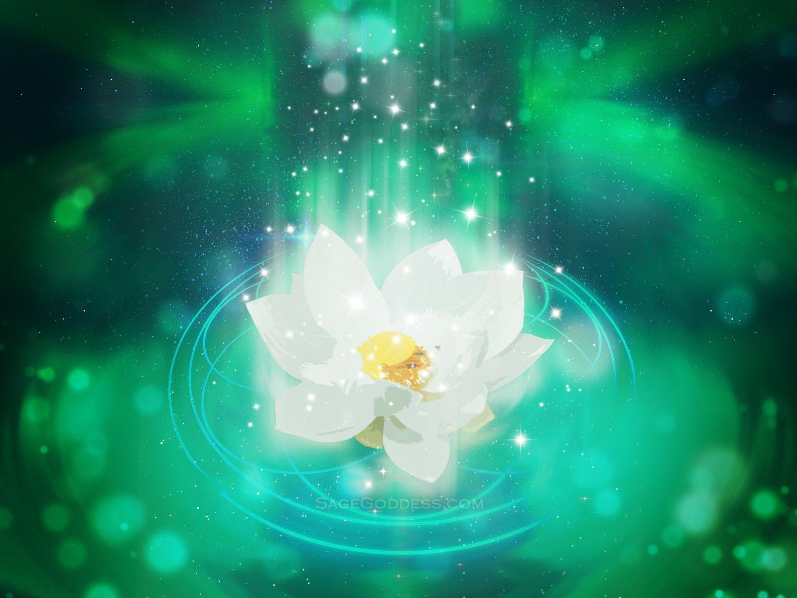 1600x1200 Download Your Free Screensaver Wallpaper Here Flower Buddhism HD Wallpaper & Background Download