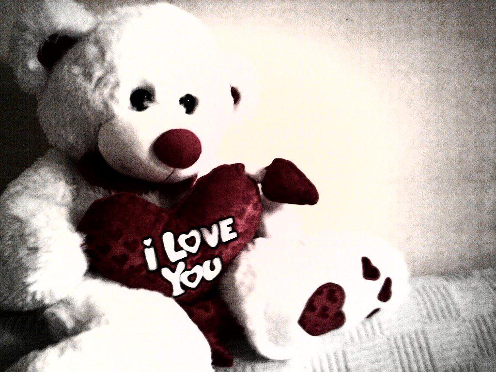 1024x768 Teddy Bear Picture for Valentines Day 2020