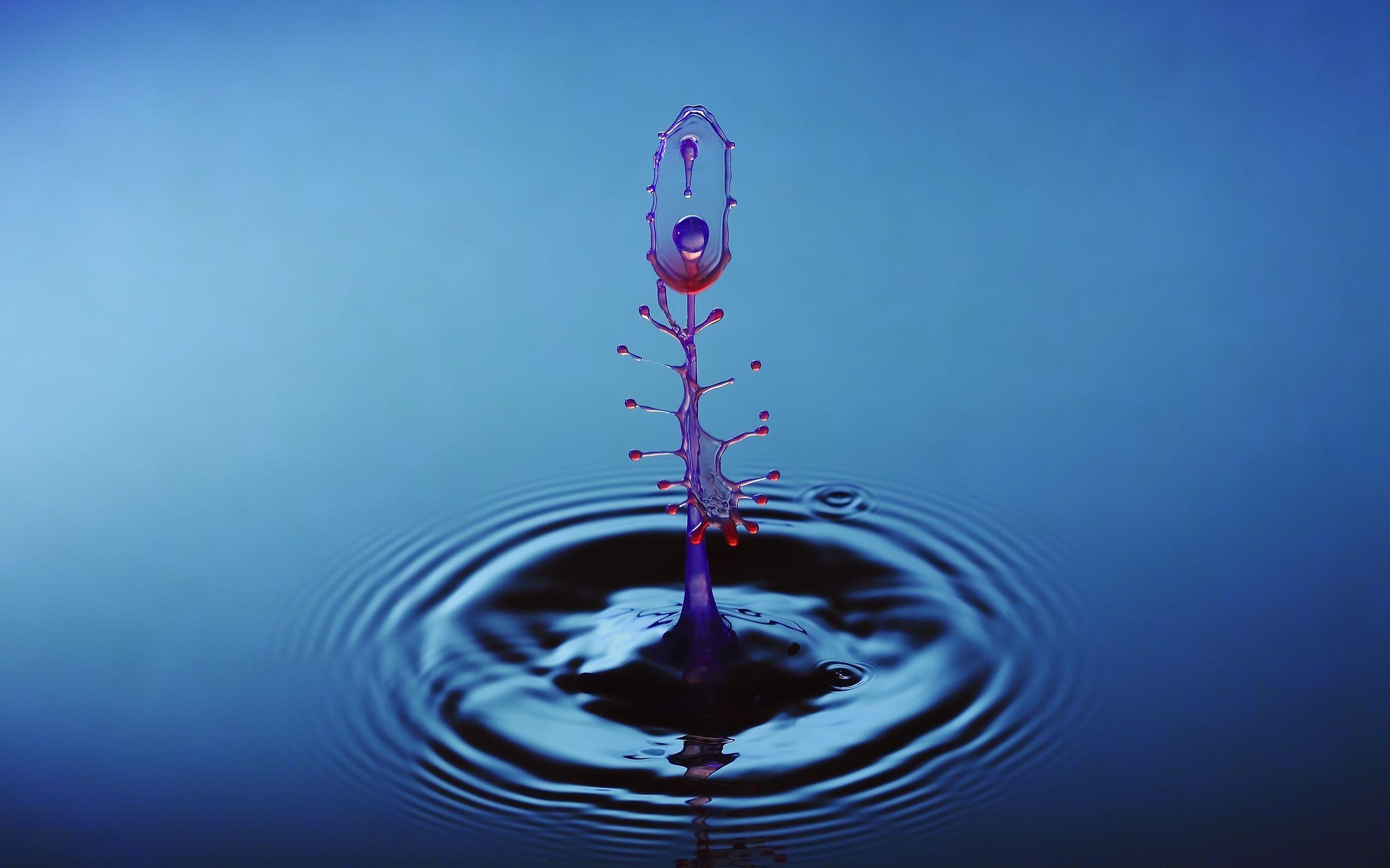 2560x1600 water drops jumping with blue background 3D gaming HD