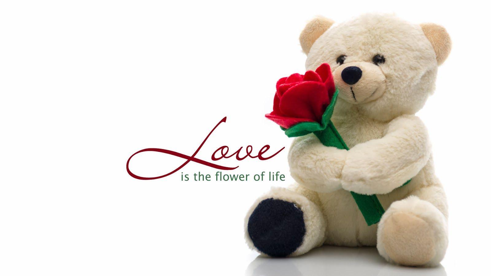 1600x900 Teddy Bear Happy Valentine Wallpaper HD. Best Beach Picture