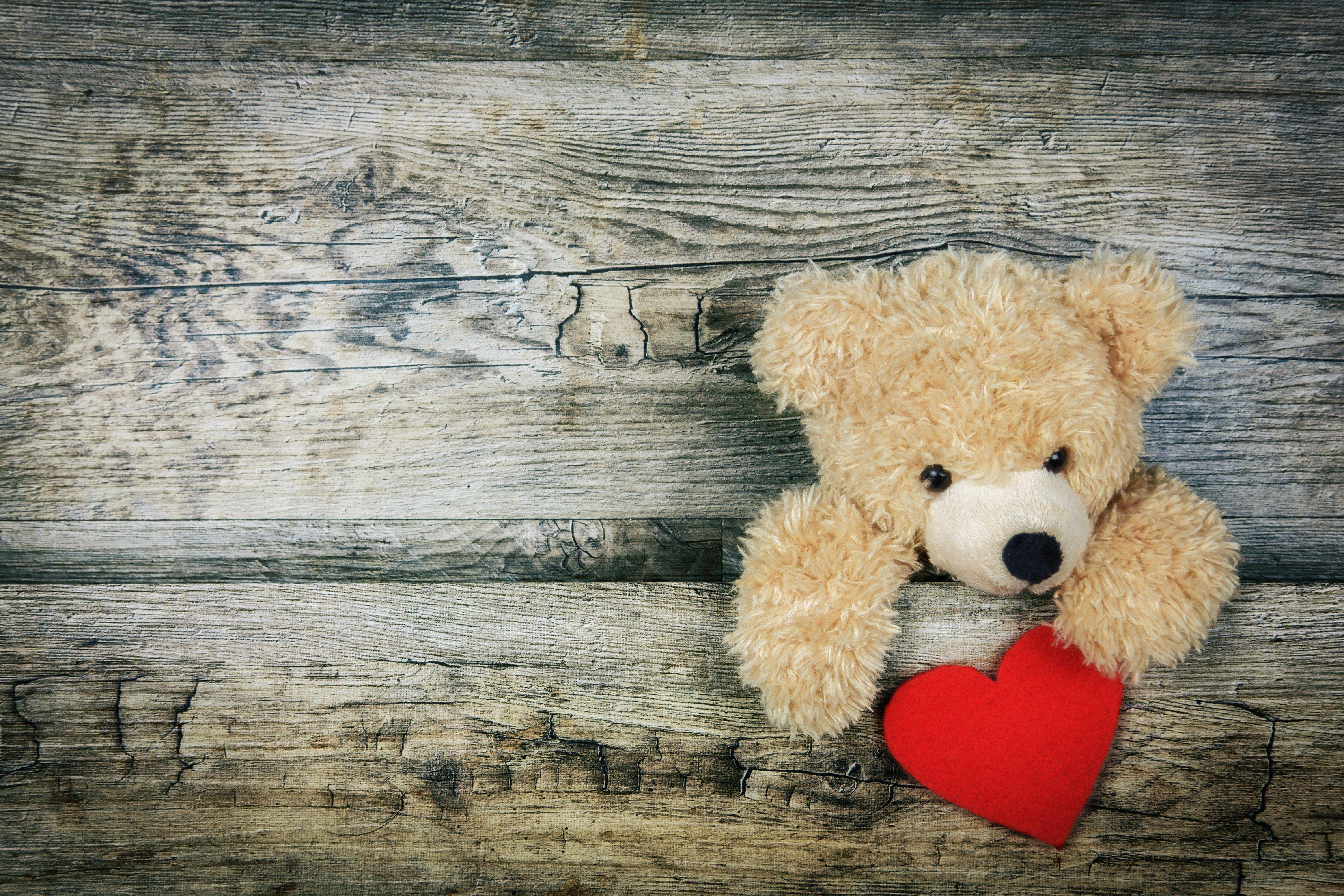 6000x4000 Love Wallpaper Teddy Bear