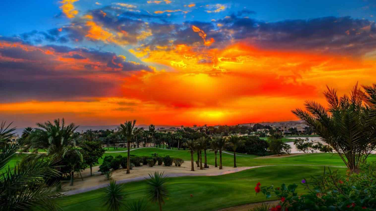1517x853 Desktop Resktopbackgroundorg Green Grass Sunset Nature