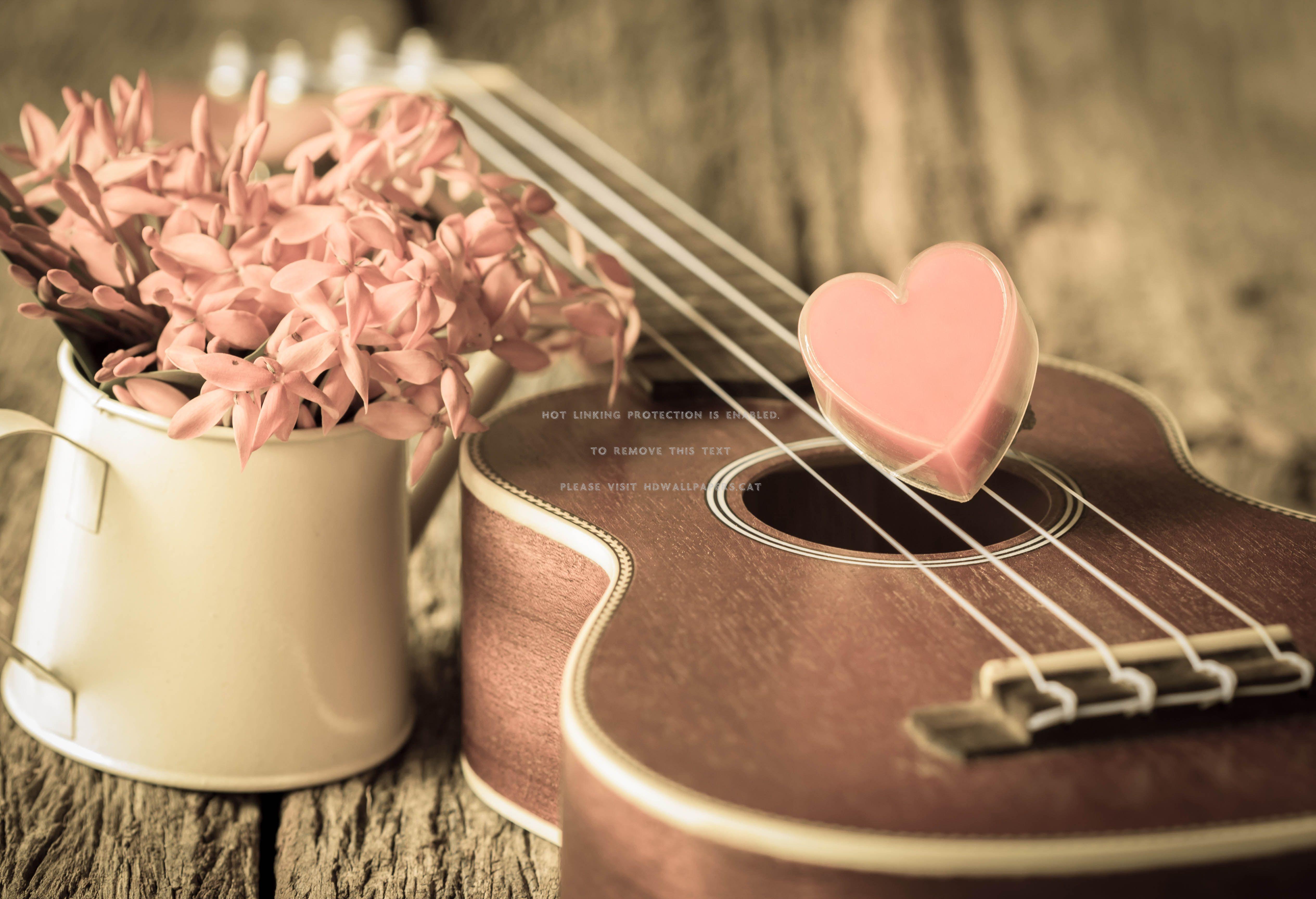 5058x3456 pink vintage love guitar heart flowers