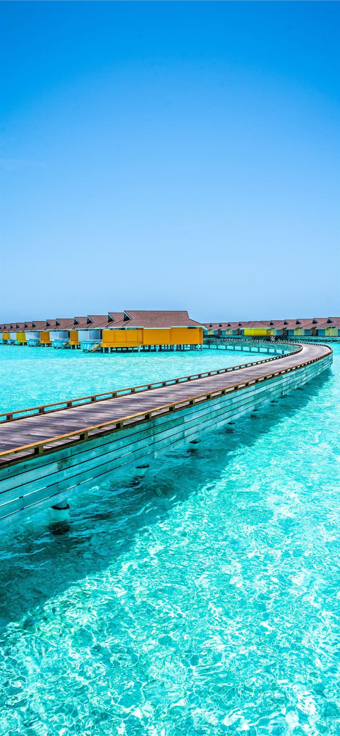 1125x2436 brown wooden dock on blue sea under blue sky durin. iPhone 11 Wallpaper Free Download