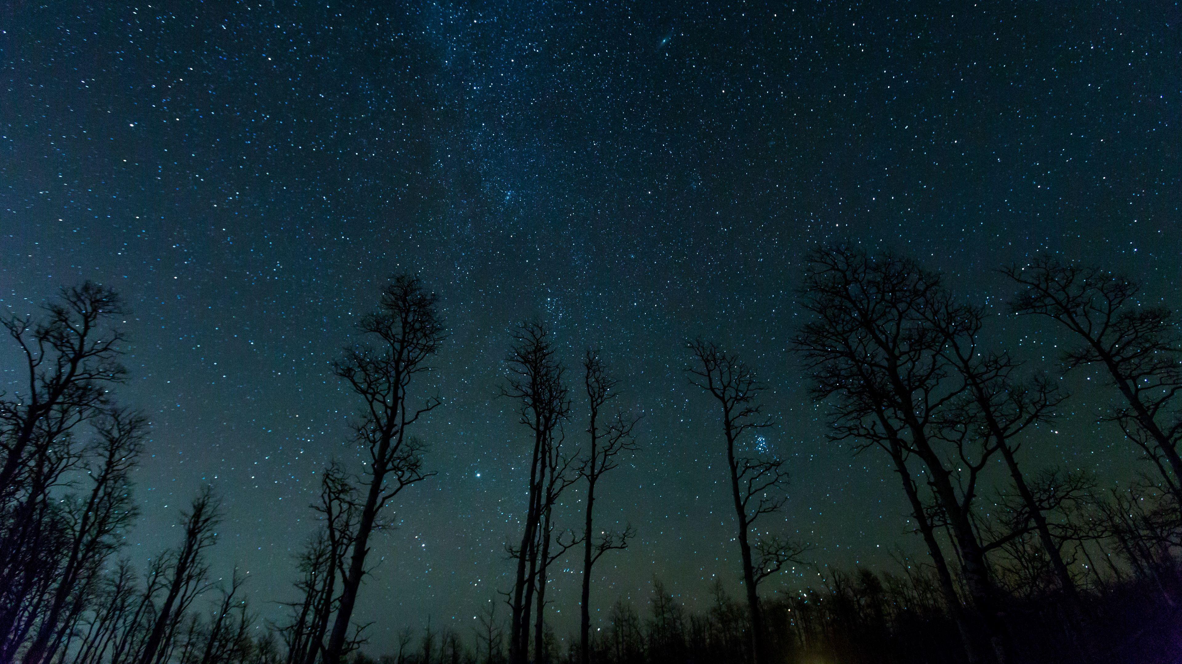 3840x2160 Starry Night Wallpaper