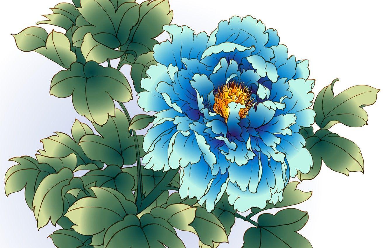 Blue Peony Wallpapers - Top Free Blue Peony Backgrounds - WallpaperAccess