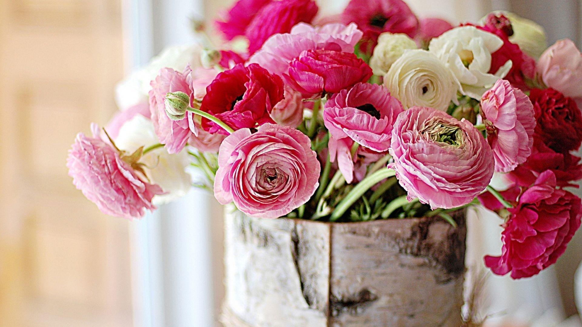 1920x1080 Free download Fresh flowers peonies wallpaper and image