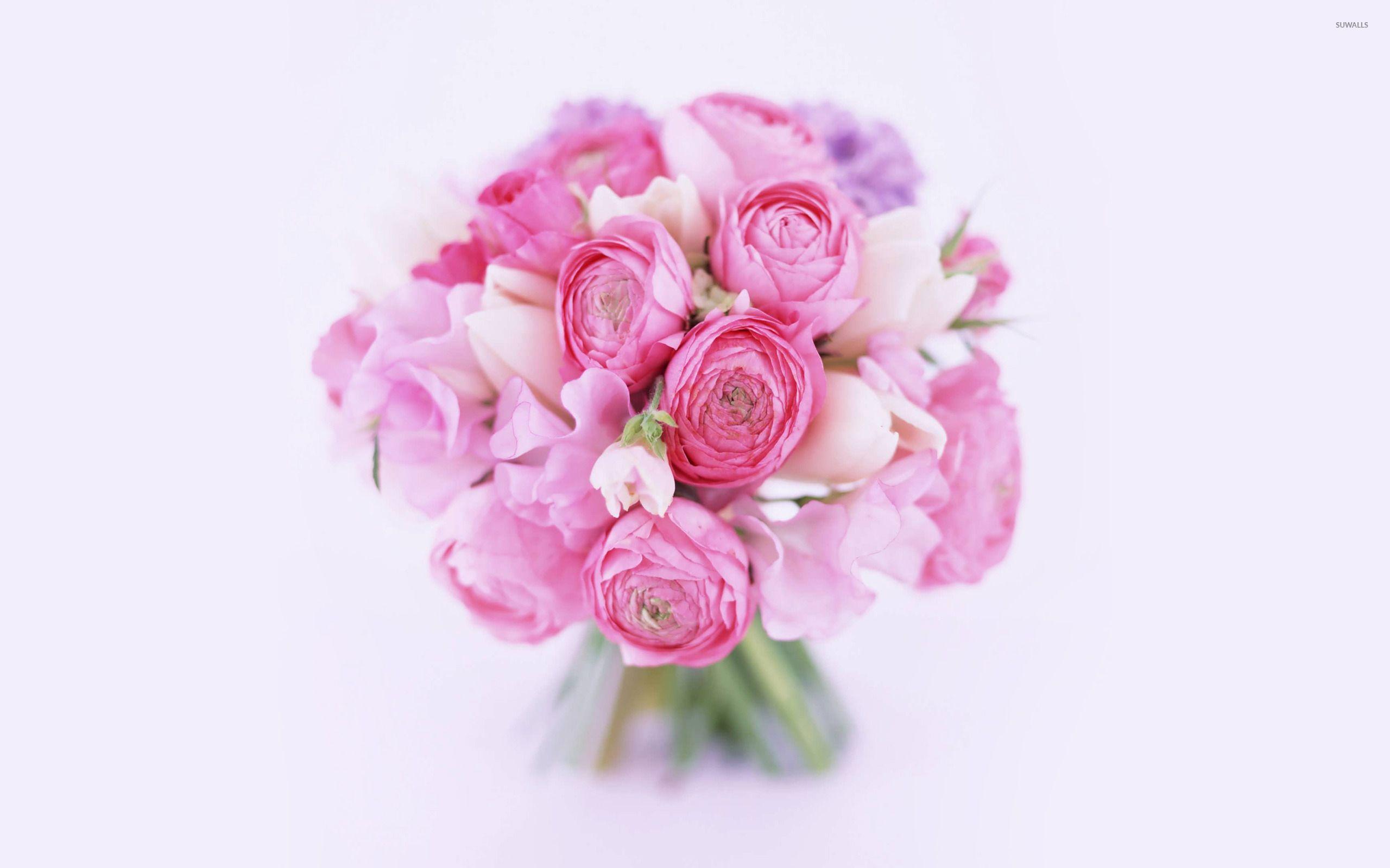 2560x1600 Peonies wallpaper wallpaper