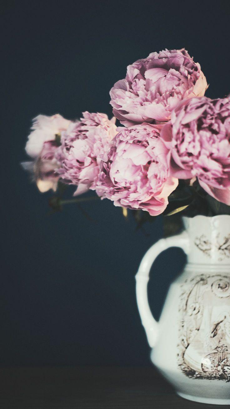 736x1308 Cute Pink Peonies iPhone Wallpaper