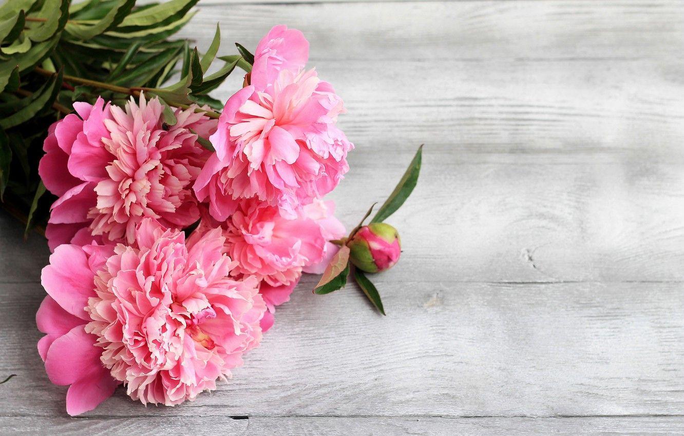 1332x850 Wallpaper flowers, pink, wood, pink, flowers, peonies, peonies