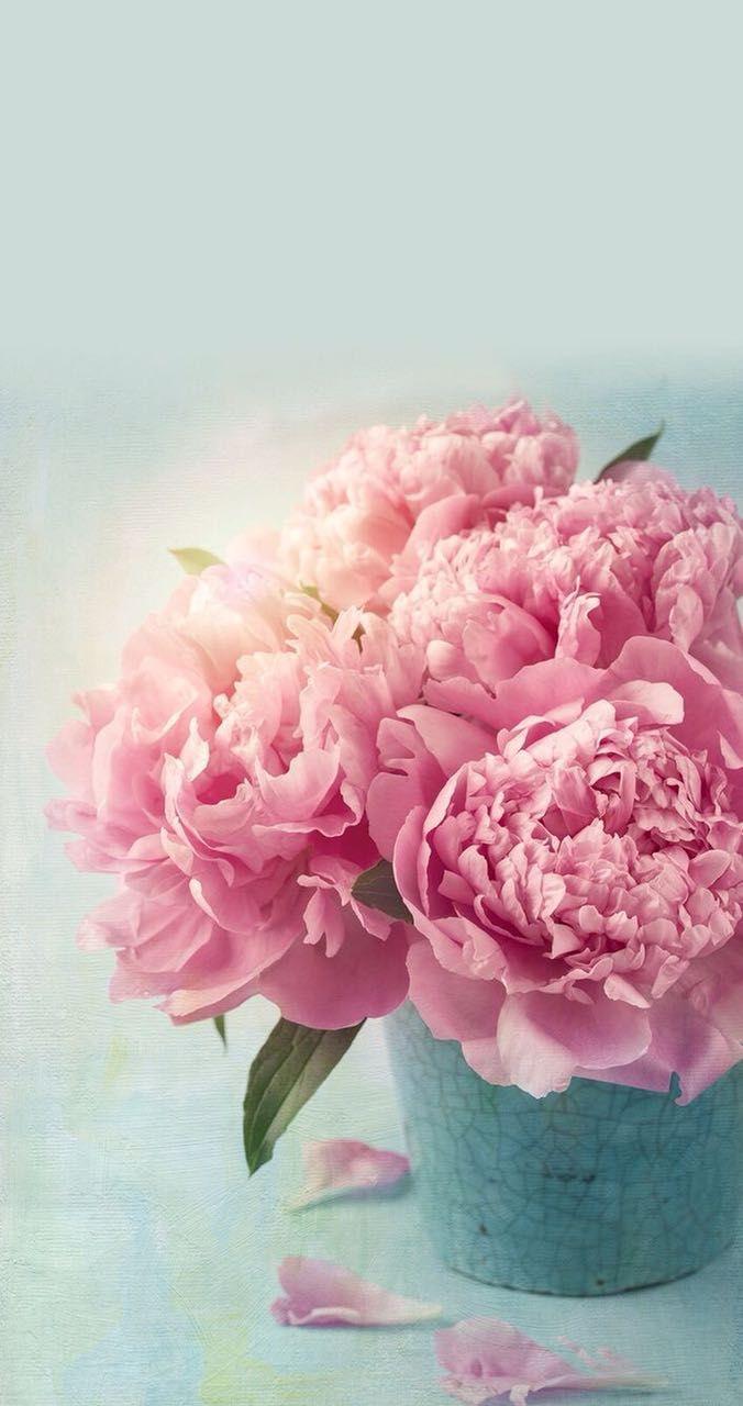 676x1280 Flowers. Peony wallpaper, Nature iphone wallpaper