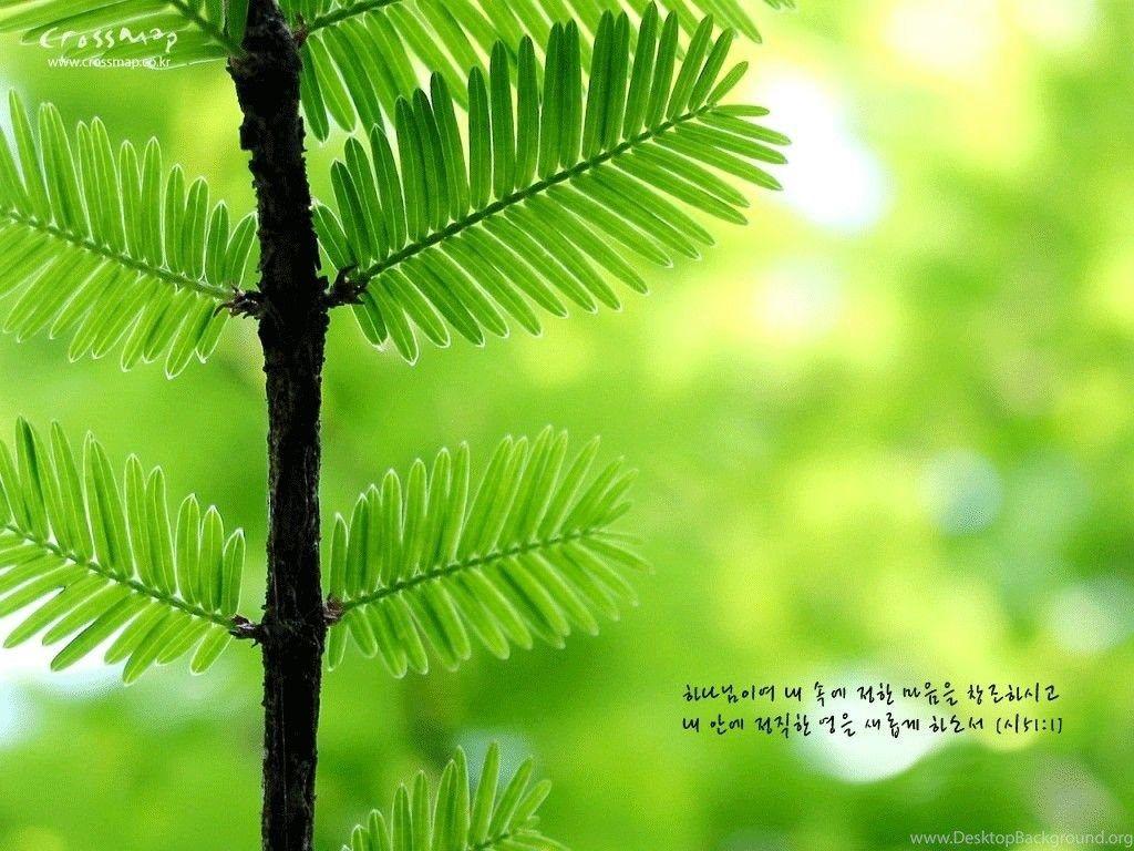 1024x768 Picture > Christian Desktop Wallpaper With Bible Verses