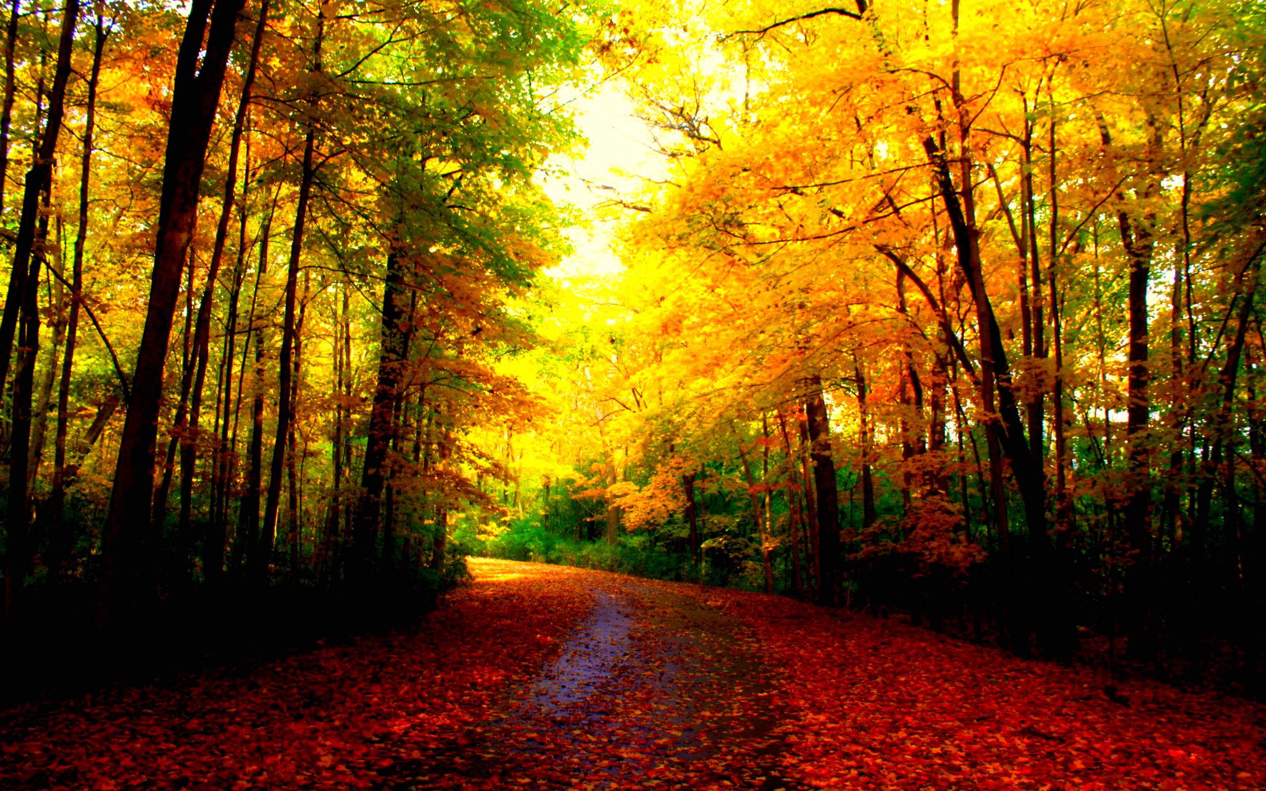 Beautiful Autumn Desktop Wallpapers - bigbeamng