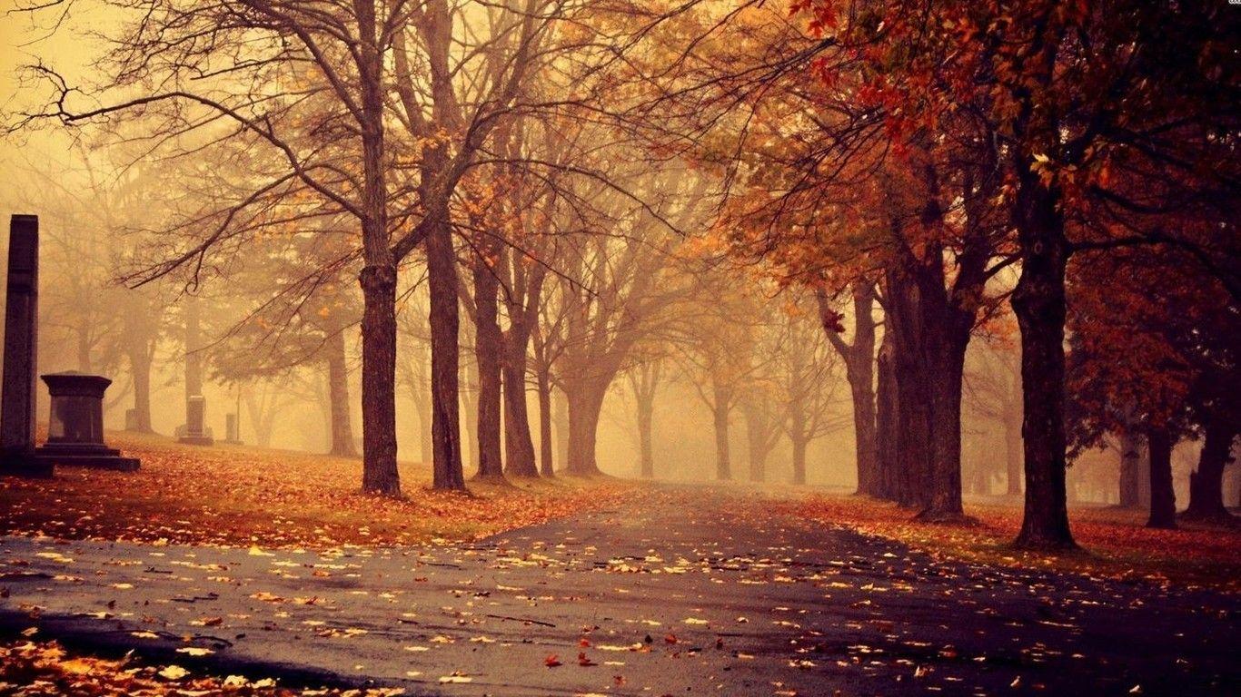 Beautiful Autumn Desktop Wallpapers - Top Free Beautiful Autumn Desktop ...