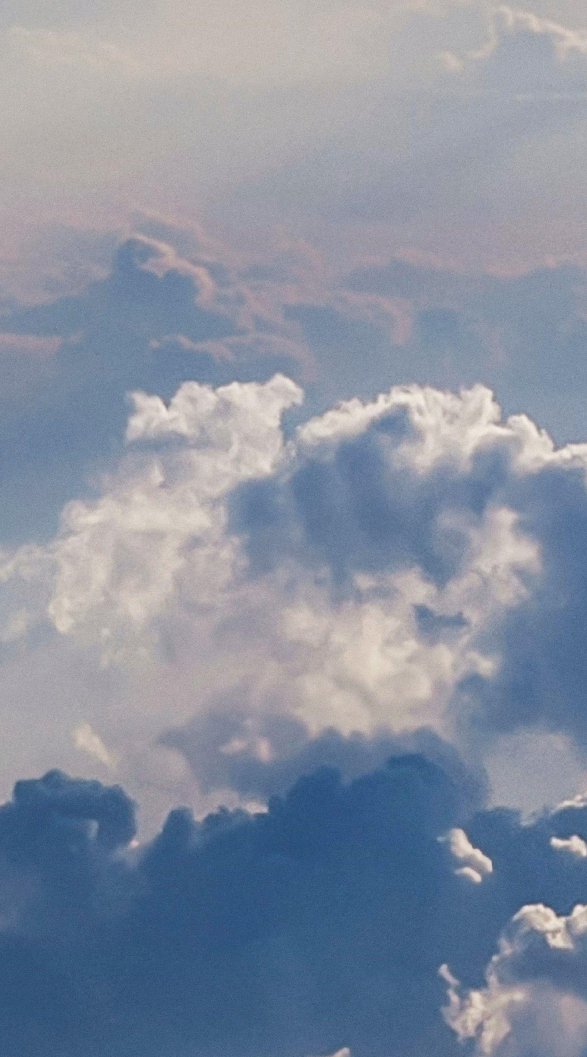 1947x3504 Wallpaper