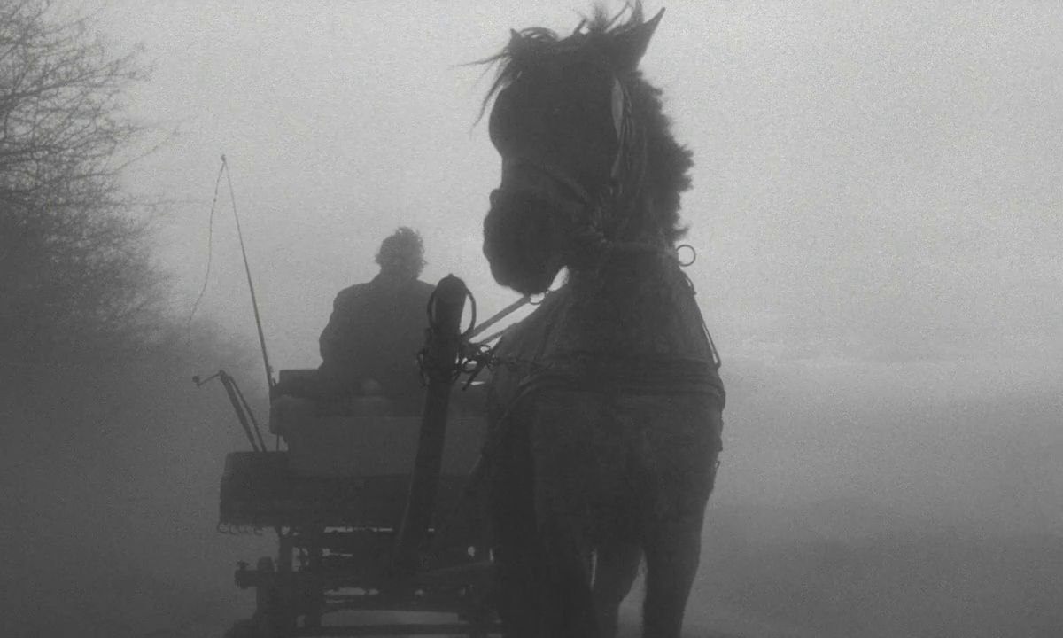 1200x720 The Turin Horse