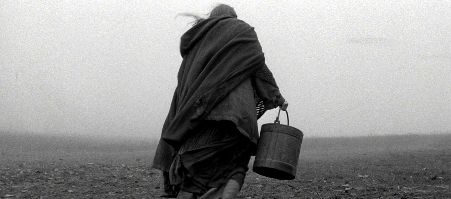 1920x847 The Turin Horse. Wexner Center for the Arts