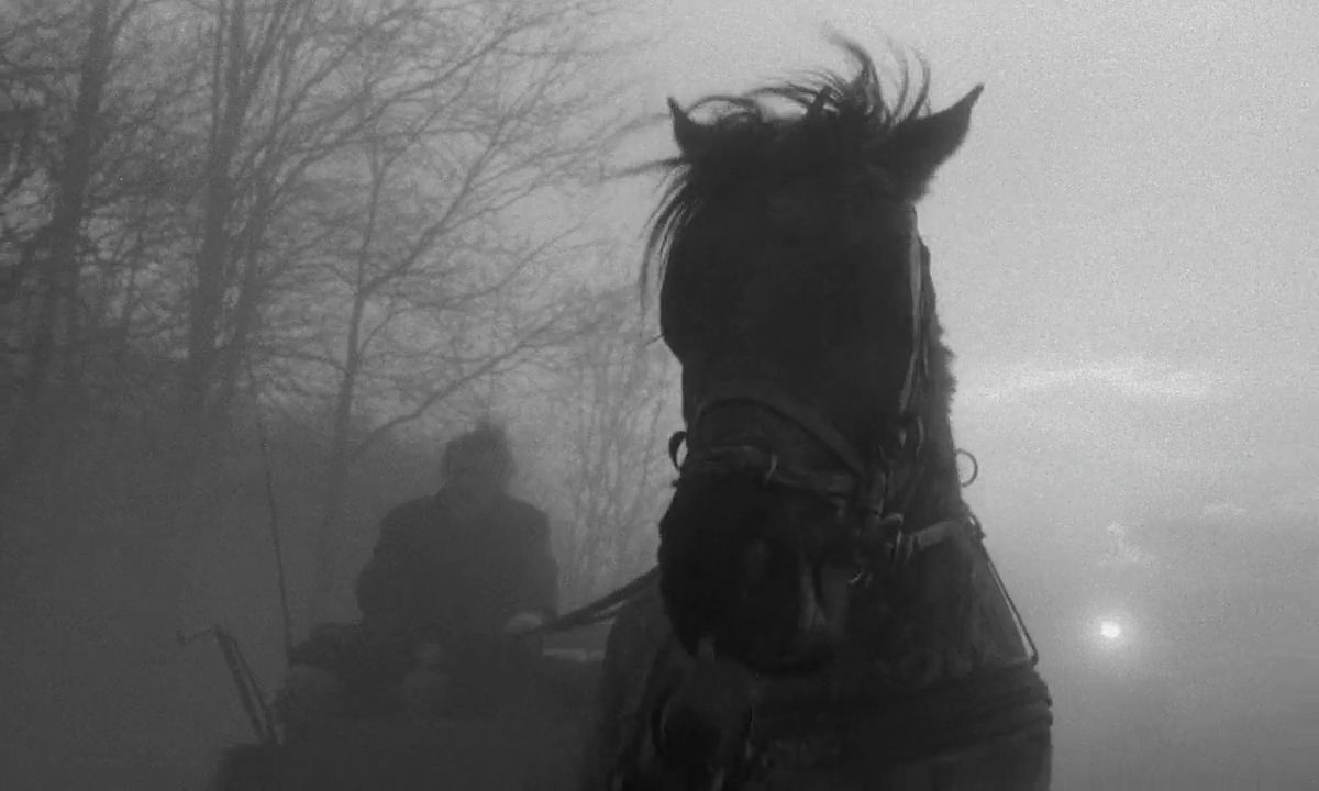 1200x720 Silver Screen Streak List : 04. The Turin Horse (2011)