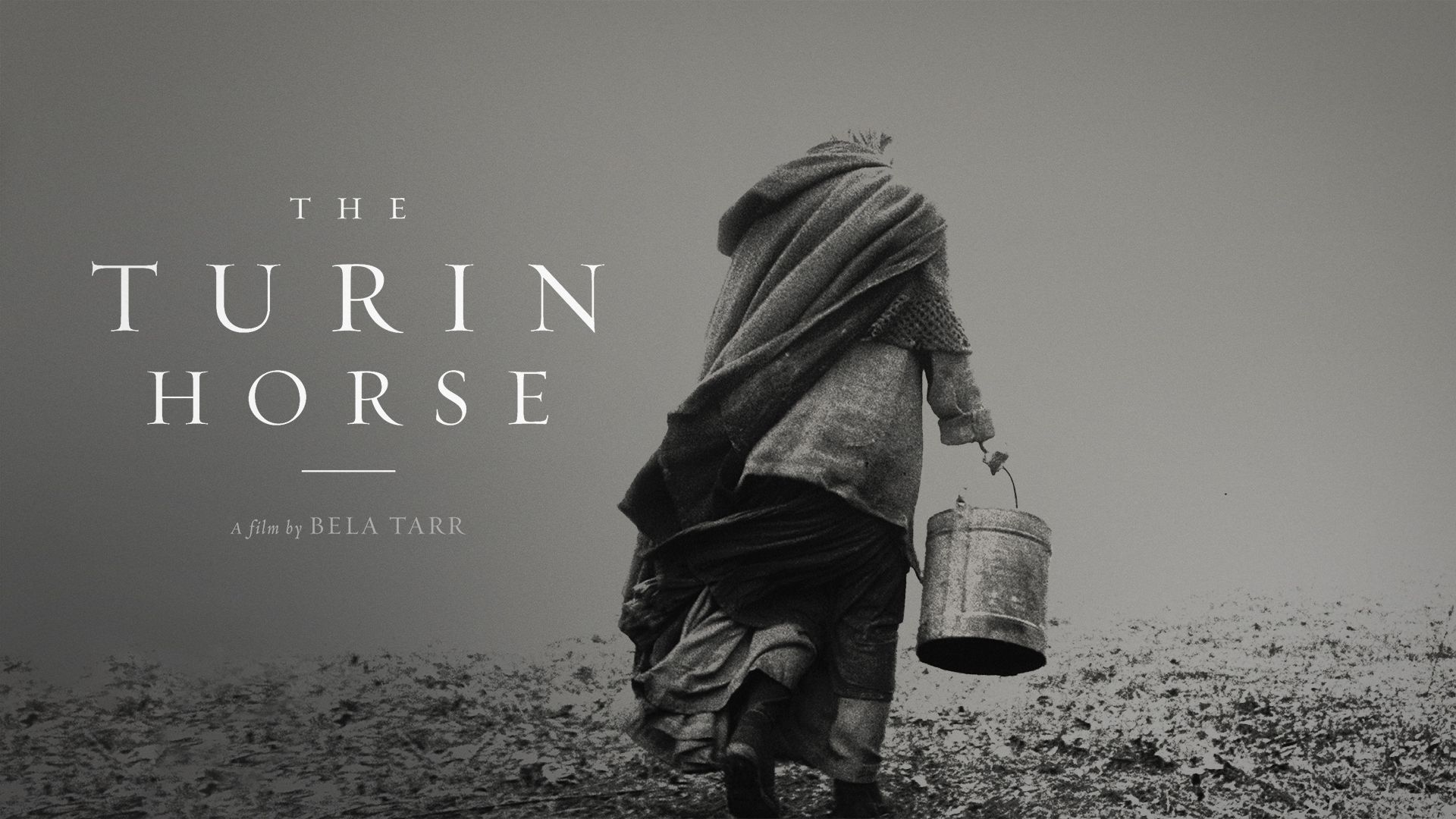 1920x1080 Prime Video: The Turin Horse