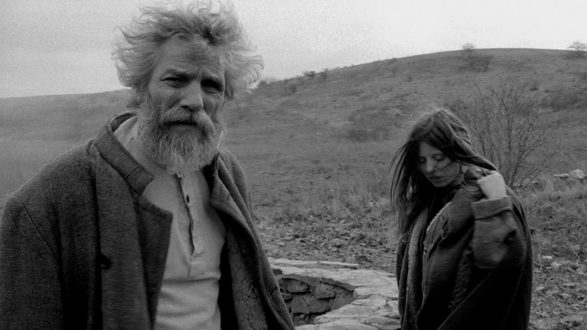 1920x1080 Watch The Turin Horse online