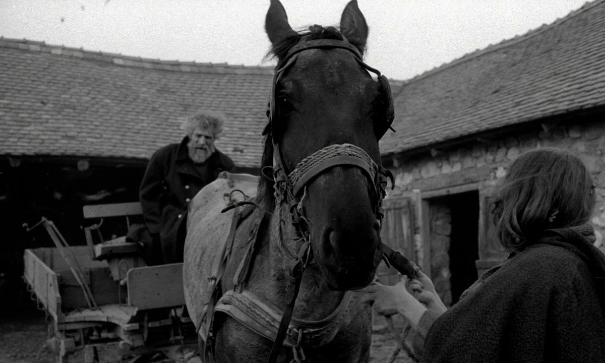 1200x720 The Turin Horse (2011)