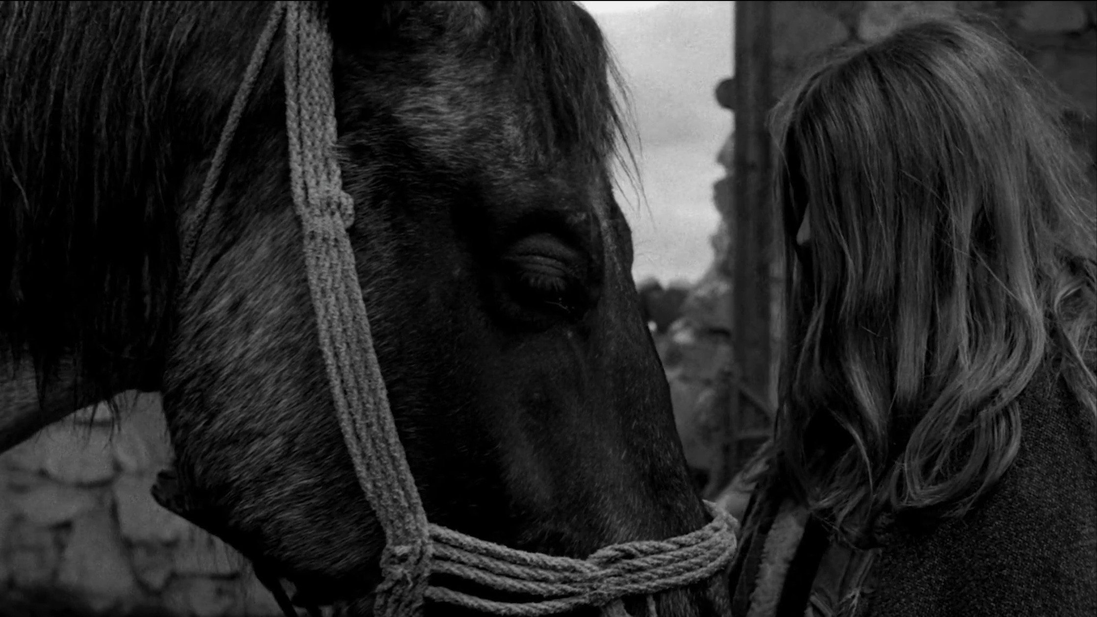 2237x1258 The Turin Horse (2011)
