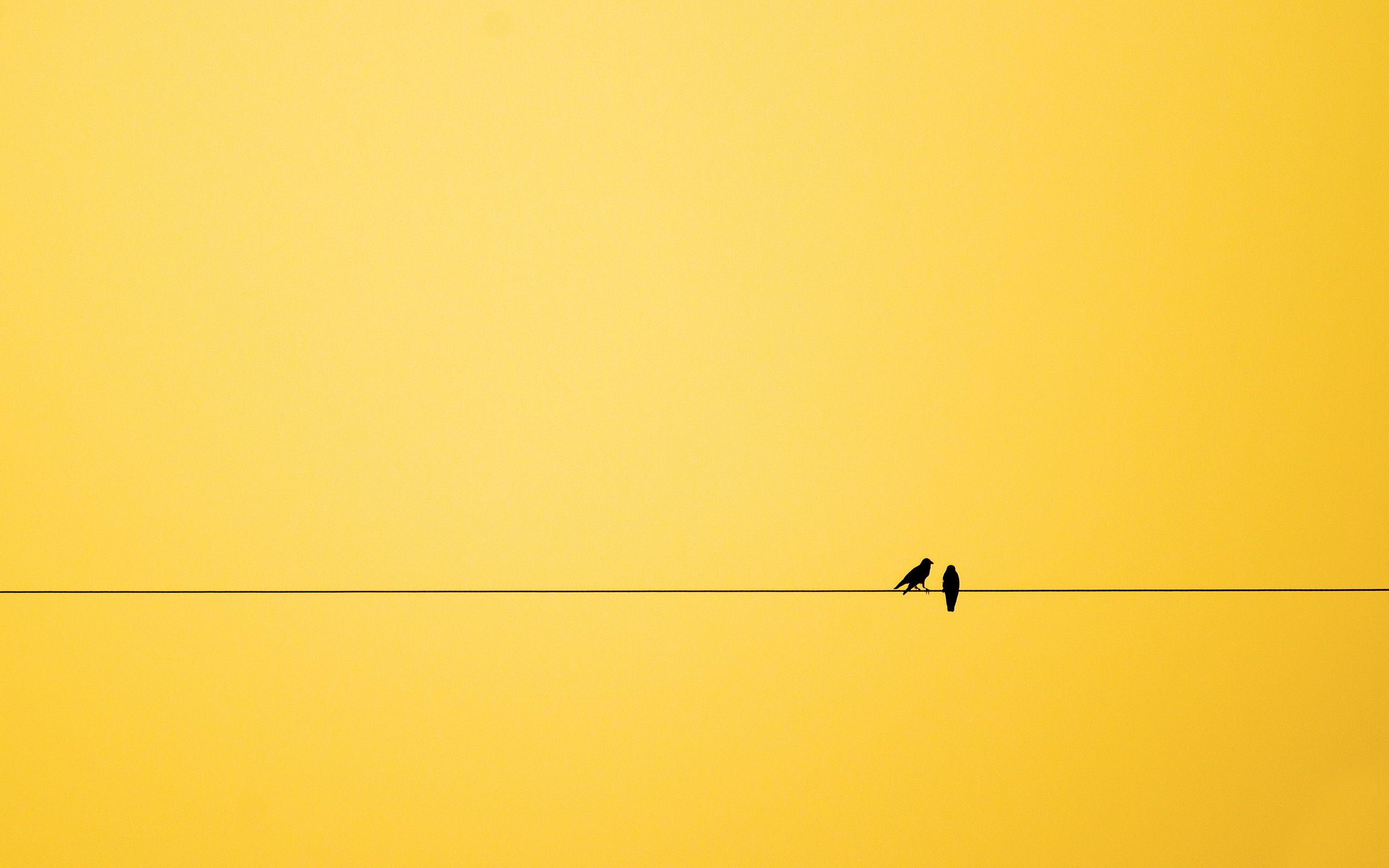 2560x1600 Minimalism wallpaperx1600