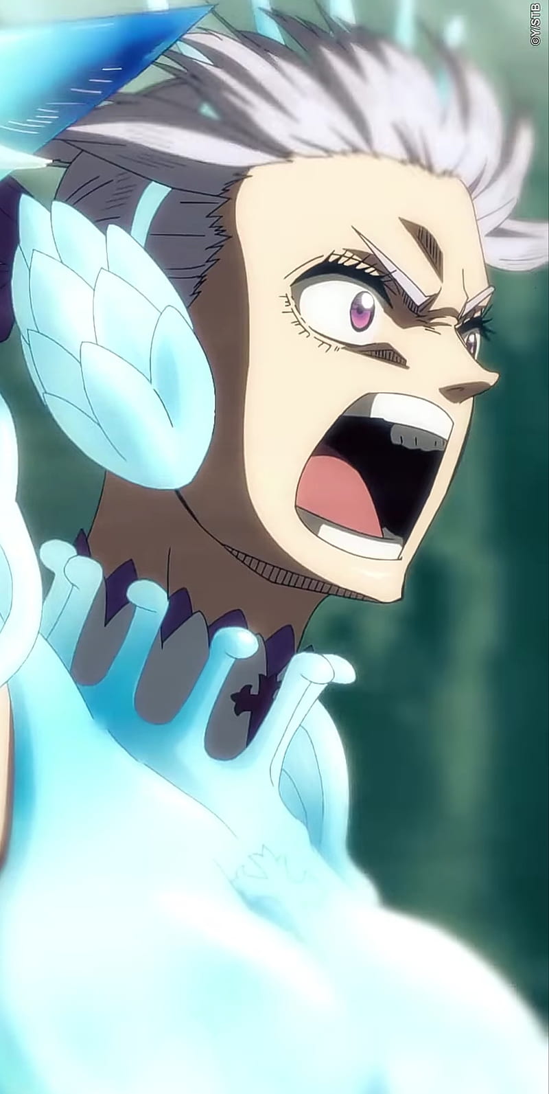 800x1593 Noelle Silva, black clover, clover kingdom, spade kingdom, HD phone wallpaper
