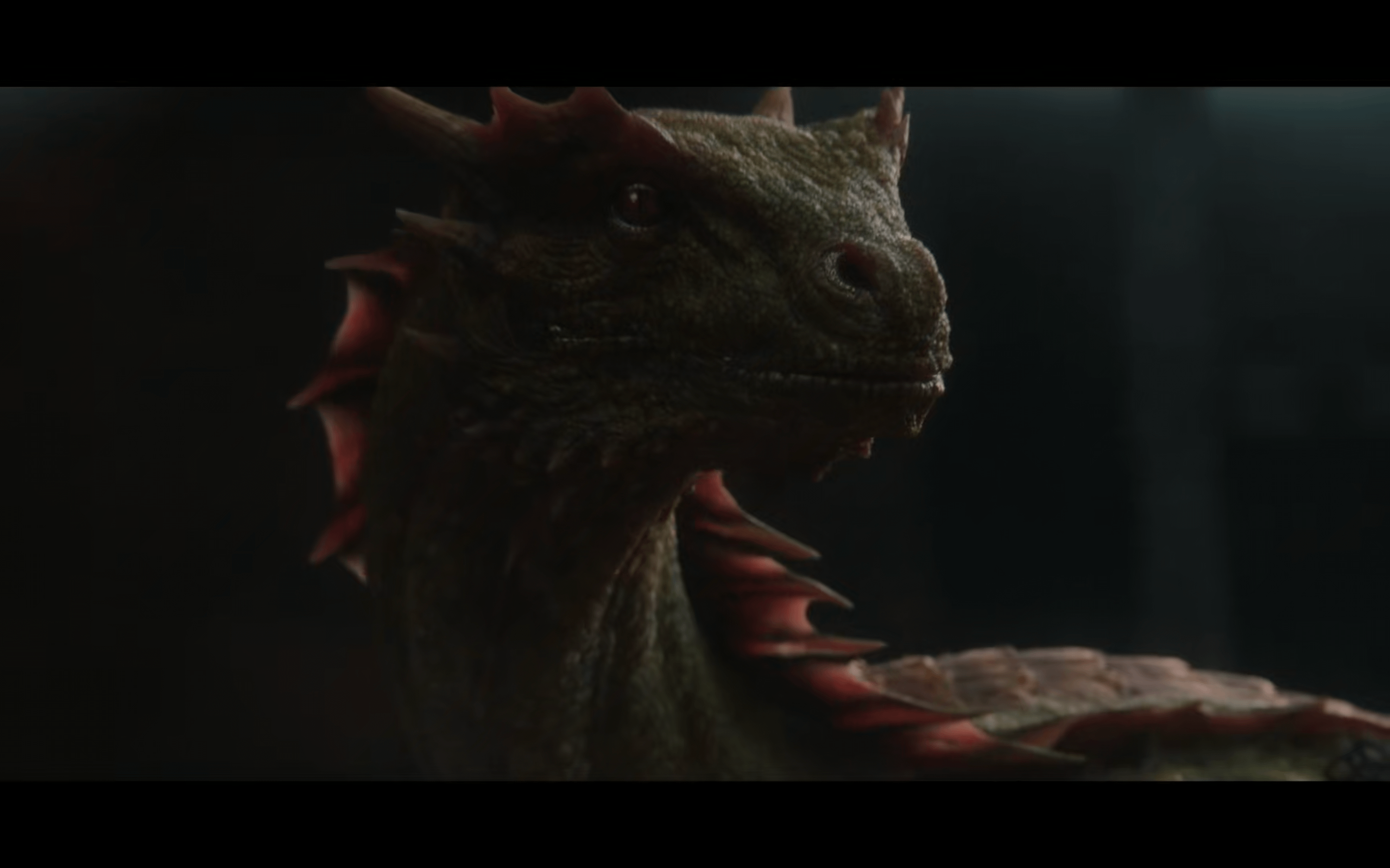 2560x1600 Vermax