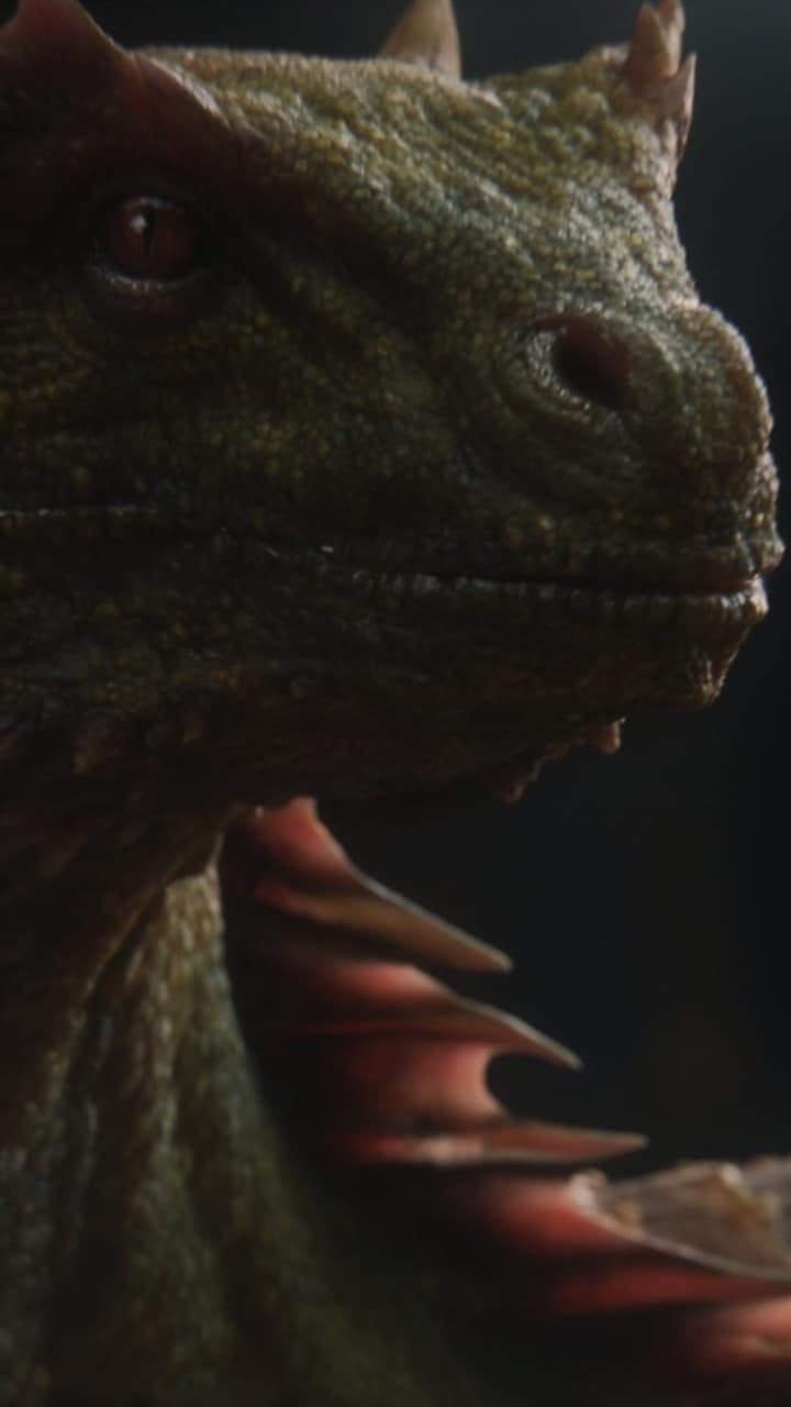 720x1280 All dragons of 'House of Dragon' series