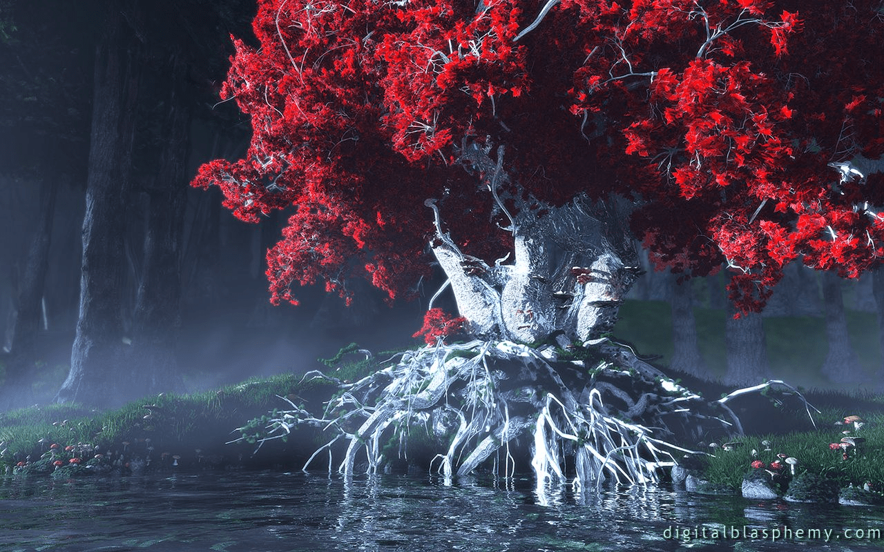 1280x800 The show never really clarifies what is the deal with Weirwood trees, aside from the fact they are magical. Are they evil? What are they, excactly?