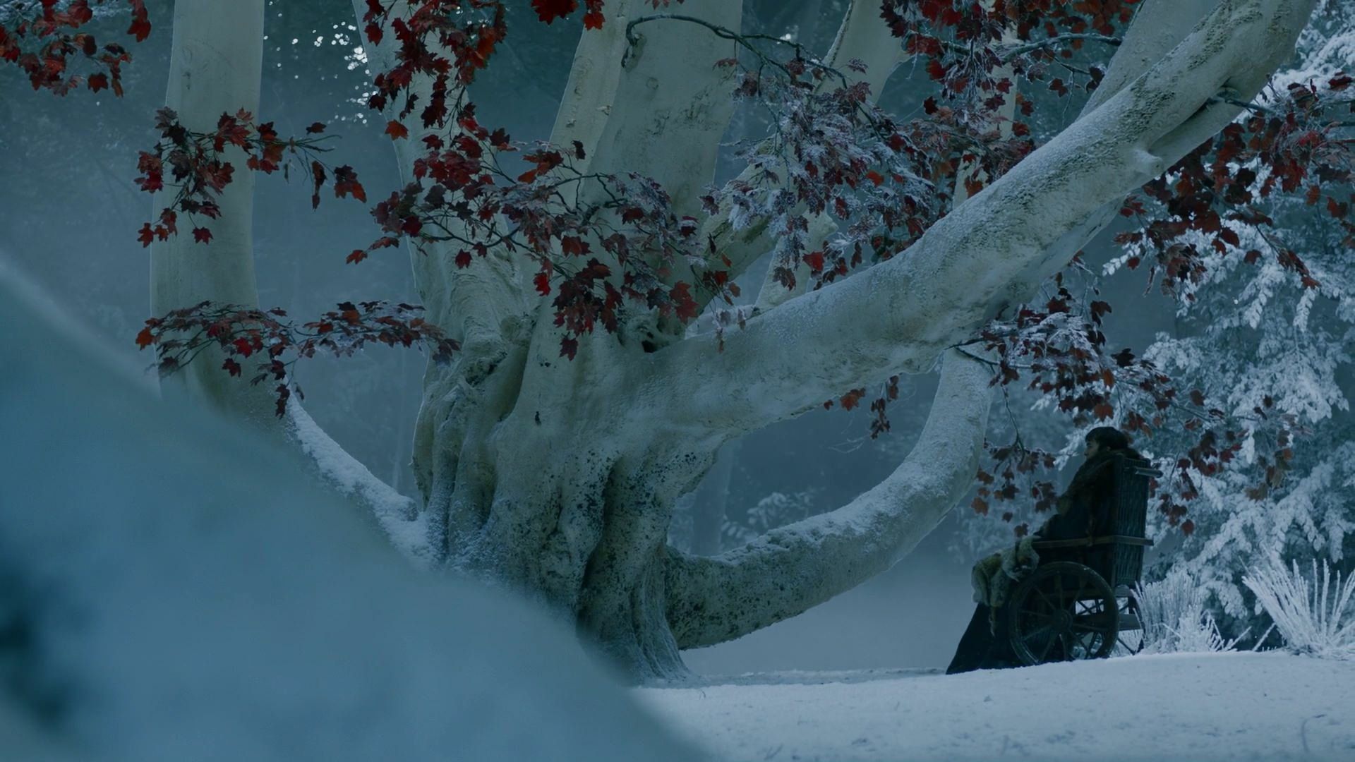 1920x1080 Bran Stark In Winter: HD Game Of Thrones Wallpaper Featuring Isaac Hempstead Wrightx1080