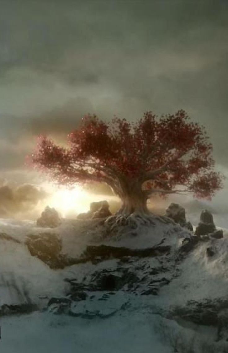 736x1141 Game of Thrones