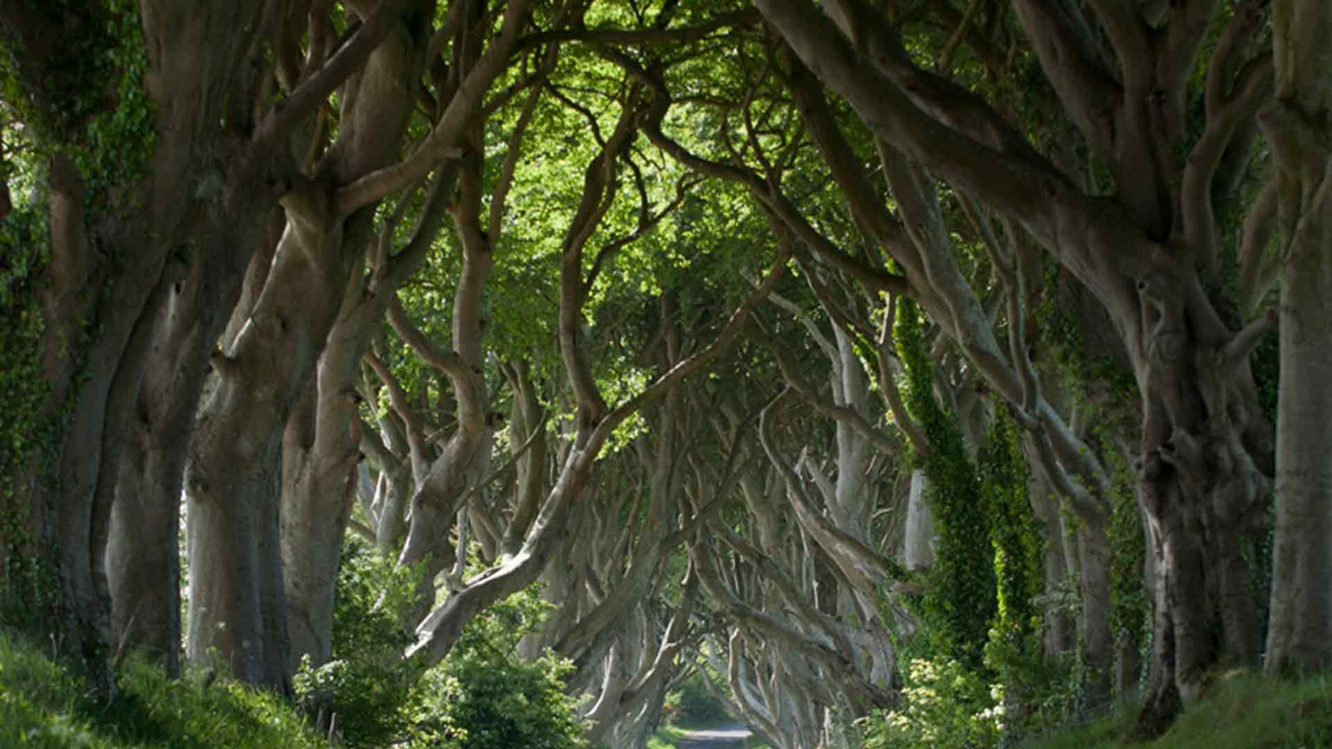 1920x1080 Game Of Thrones Filming Locations: The Luxury Northern Ireland Mini Break