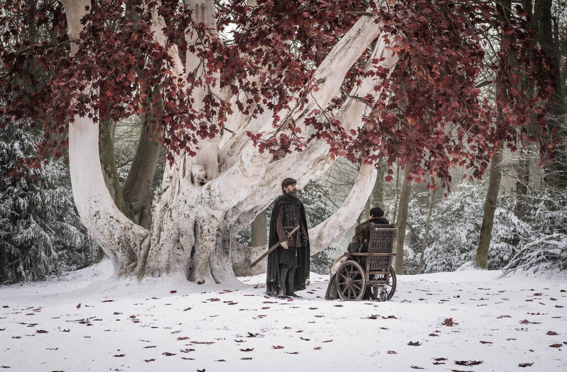 1920x1258 Bran Stark & Jaime Lannister Meet Under Weirwood. Game of Thrones HD Wallpaperx2100