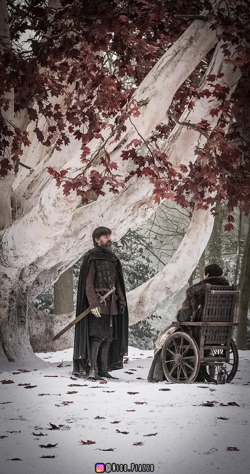 800x1514 Got, arya, bran, game, jon, netflix, nicopiazzo, thrones, tronos, HD phone wallpaper